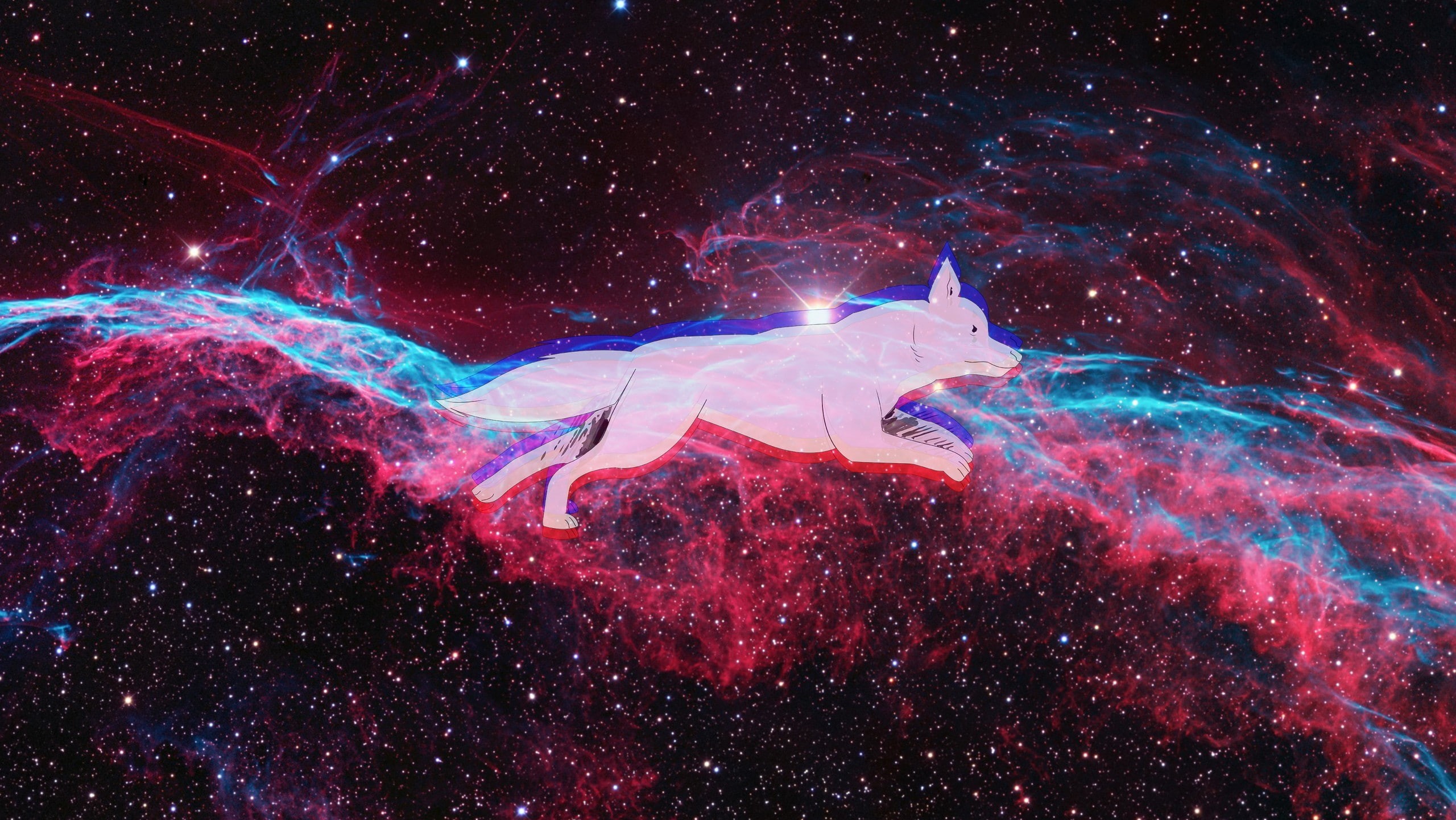 2K, Veil Nebula, space, dog, HD Wallpaper
