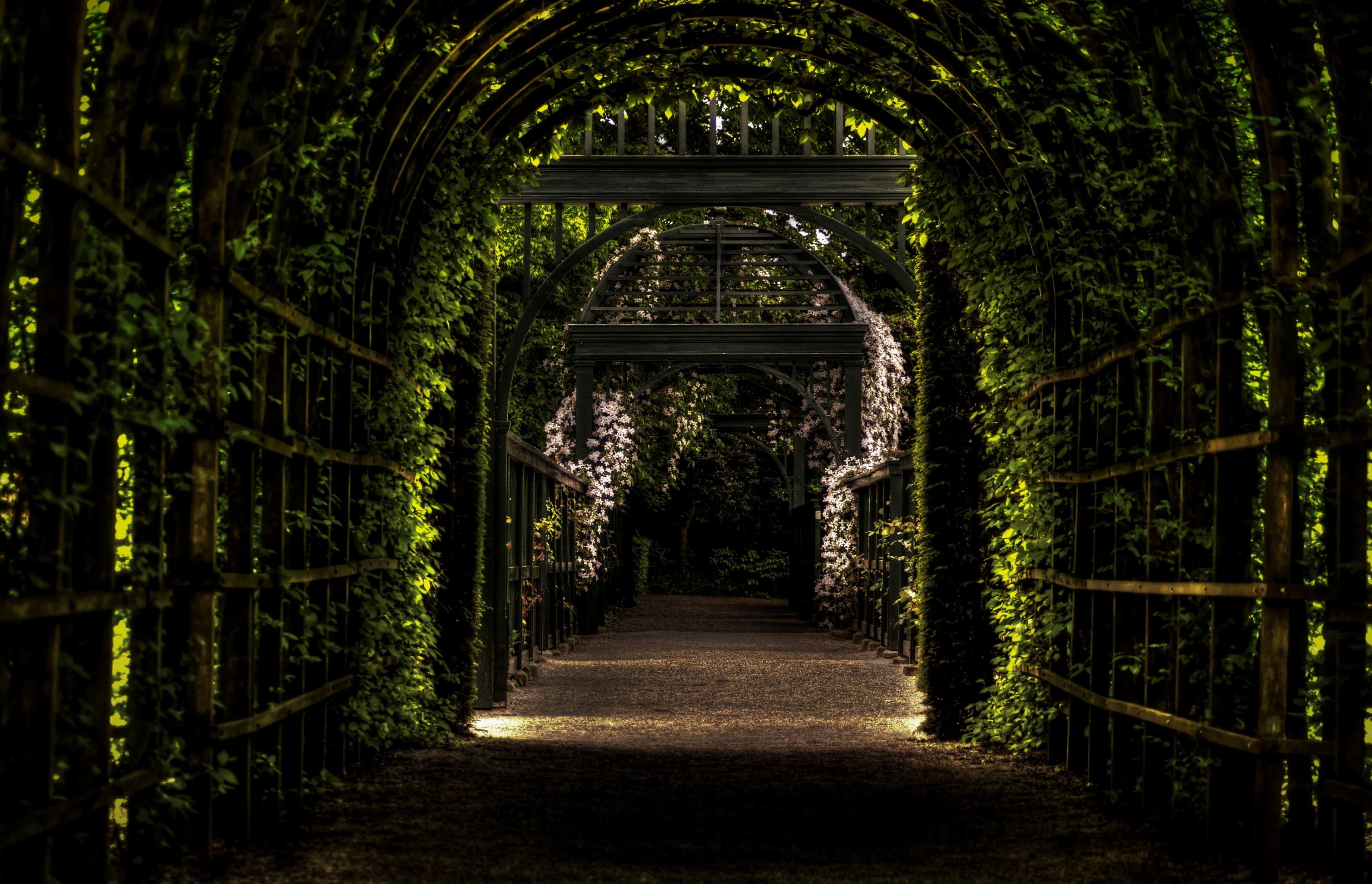 architecture, palace, connection, empty, garden, land, plant, park, nature, no people, growth, footpath, gateway, the way forward, groningen, way, diminishing perspective, HD Wallpaper