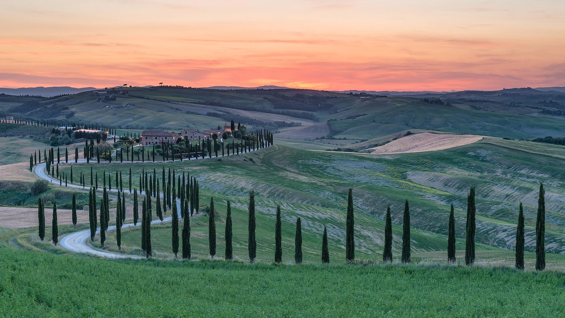 environment, rural area, plant, countryside, outdoors, agriturismo baccoleno, idyllic, nature, tranquil scene, siena, rolling hills, grass, valdorcia, podere baccoleno, HD Wallpaper
