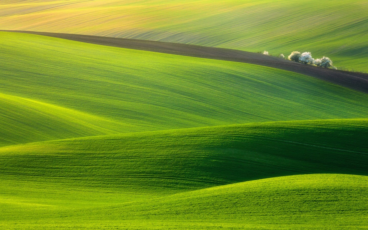 growth, nature, plant, outdoors, rural scene, hill, green color, grass, rolling landscape, 720P, day, sport, land, tranquility, green, landscape, agriculture, HD Wallpaper