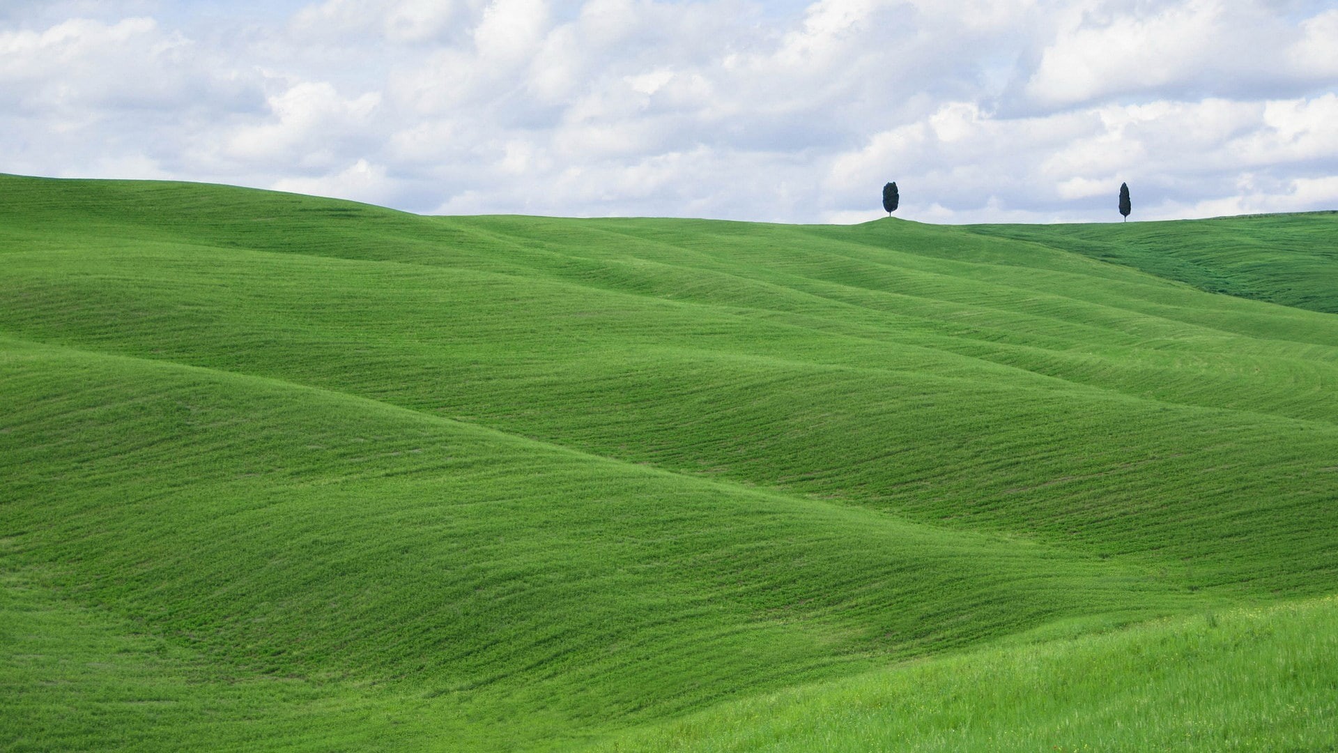 scenics - nature, outdoors, tranquility, green color, cloud - sky, 1080P, agriculture, grass, nature, wind, day, plant, beauty in nature, land, sky, tranquil scene, HD Wallpaper