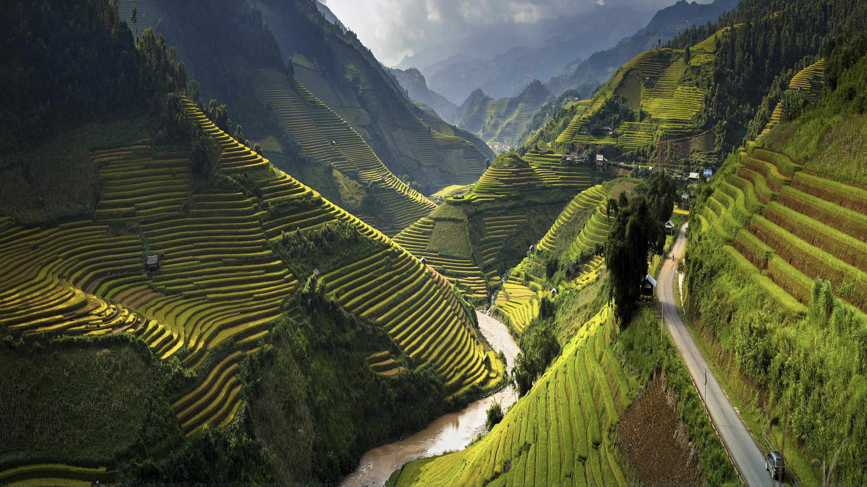 yen, bai, rural scene, terasasti, outdoors, chai, environment, cang, rice - cereal plant, mountain range, terraced field, landscape, rice, beauty in nature, HD Wallpaper