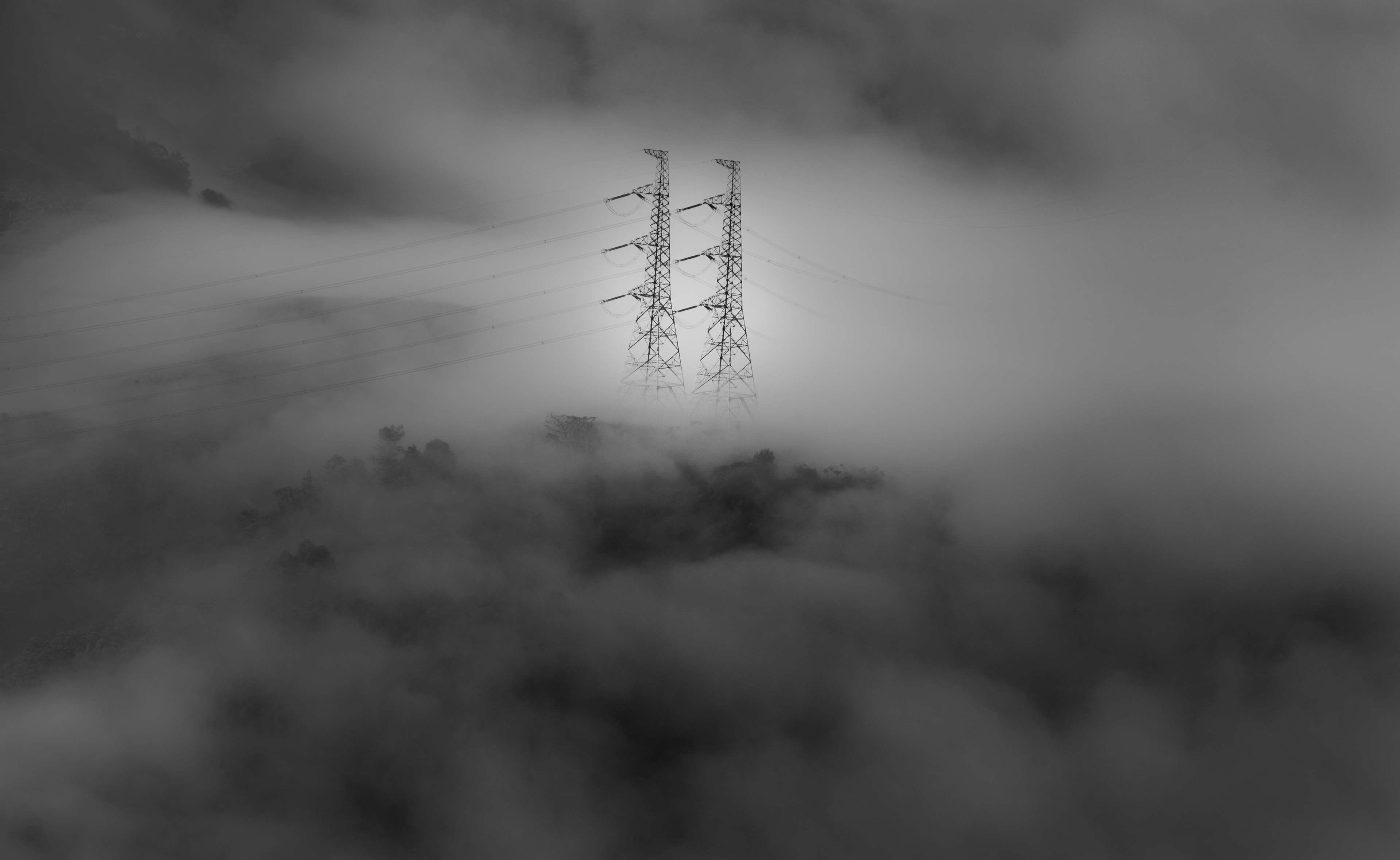 travel, viet nam sa pa, fog, occupational rehabilitation viet nam, technology, tree, vietnam, low angle view, lao cai, yenbaivietnam, global communications, HD Wallpaper