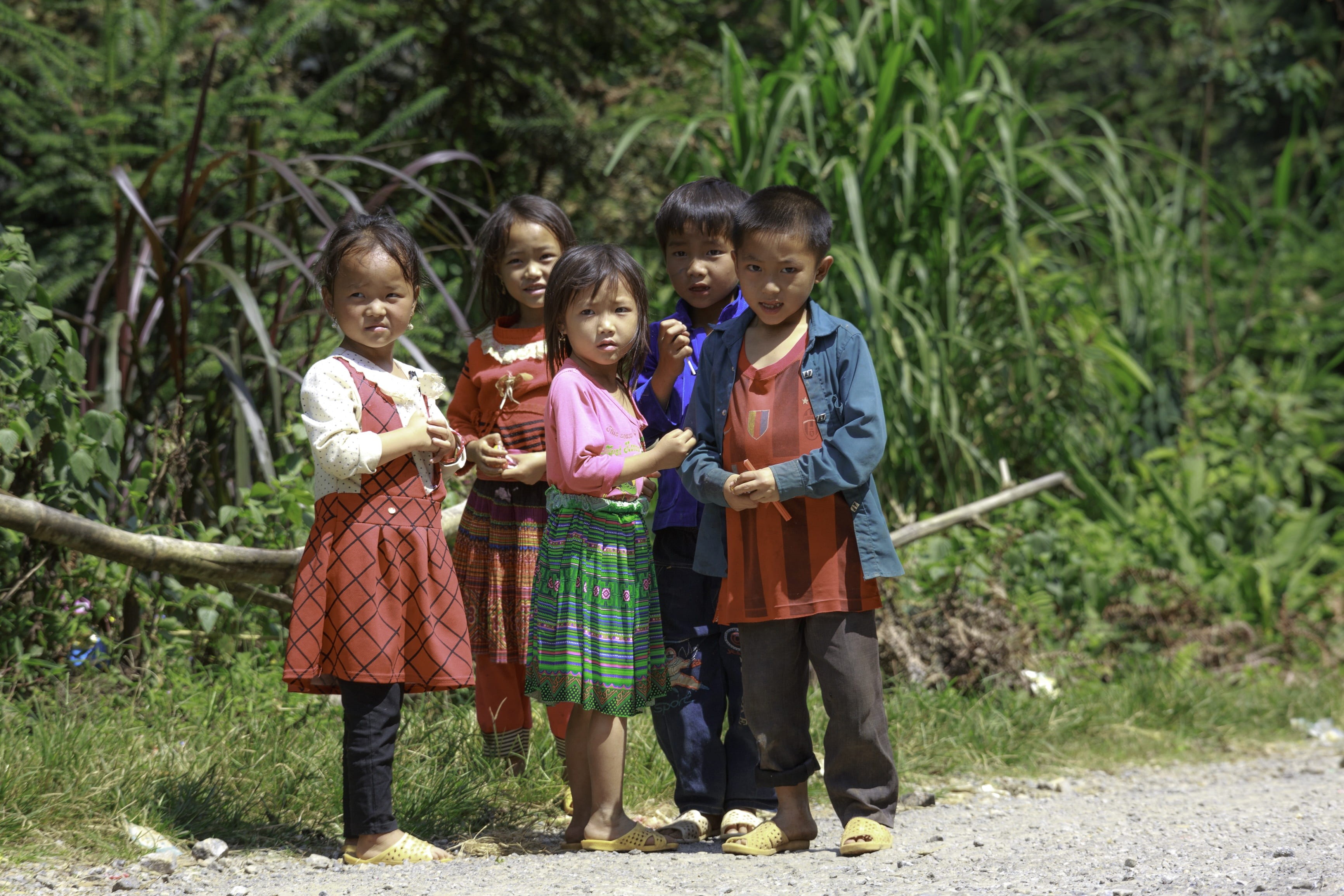 women, togetherness, to school, beautiful, vietnam, province, child, minority, poor, girls, 2K, real people, leafed, playful, high land, outdoors, females, HD Wallpaper