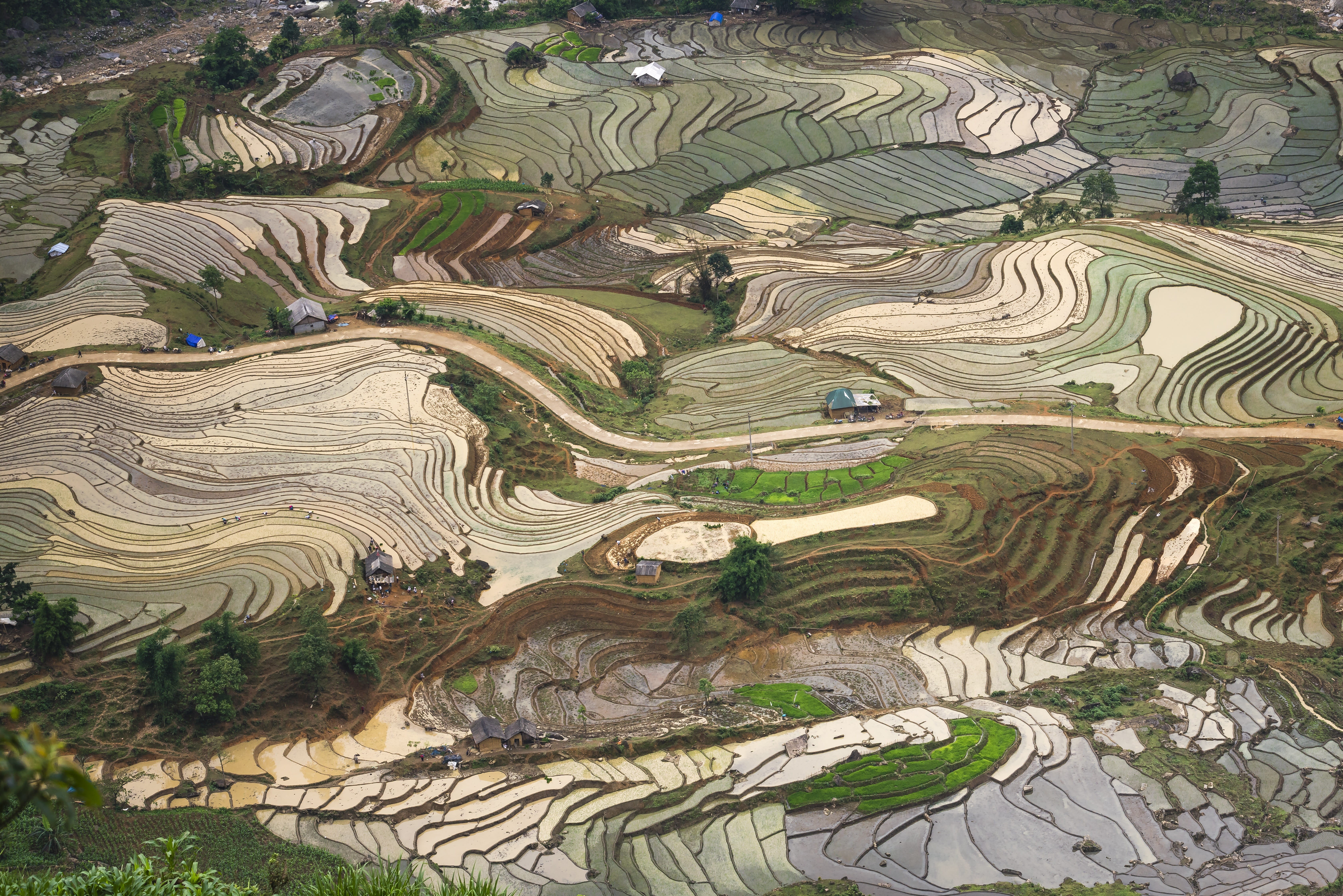 cultural, gardening, terrace, rice paddy, eco, blind stretch comb, feed, water, season, mountain, travel, farmer, environment, asia, photography, rural scene, HD Wallpaper