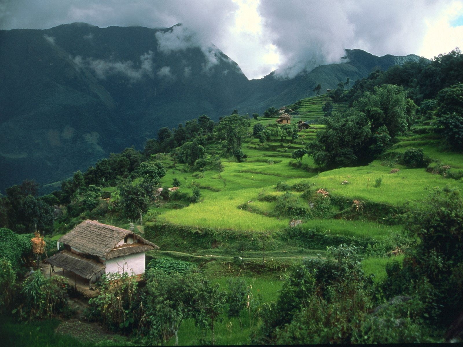 no people, tranquility, mountain range, outdoors, landscape, green color, mountains, rural scene, land, tree, Rice Terrace, lush foliage, sky, Asia, cloud - sky, HD Wallpaper