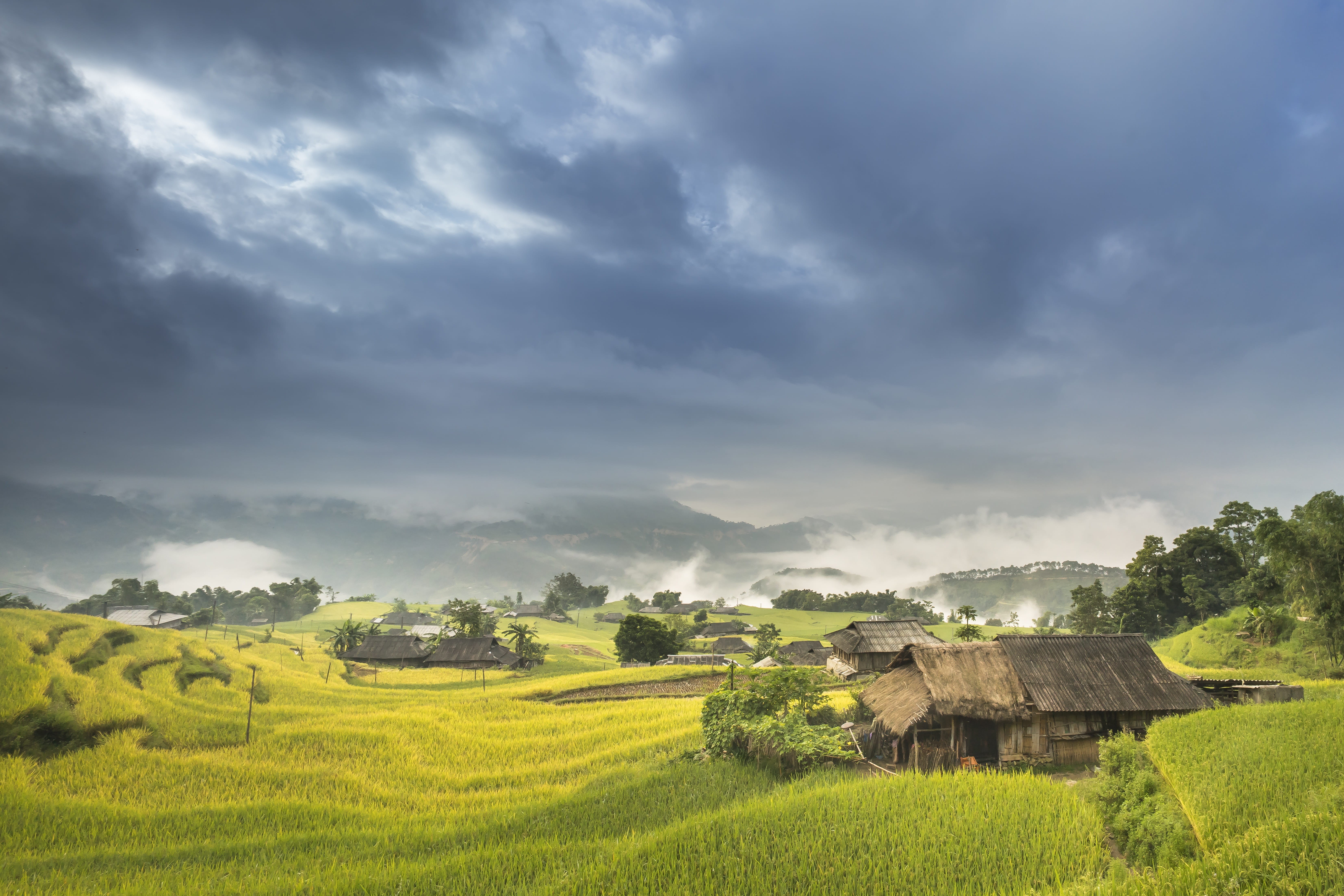 landscape, field, outdoors, scenics - nature, class, no people, plant, travel, green, the landscape, hoang su phi, clouds, the valley, agriculture, beauty in nature, HD Wallpaper