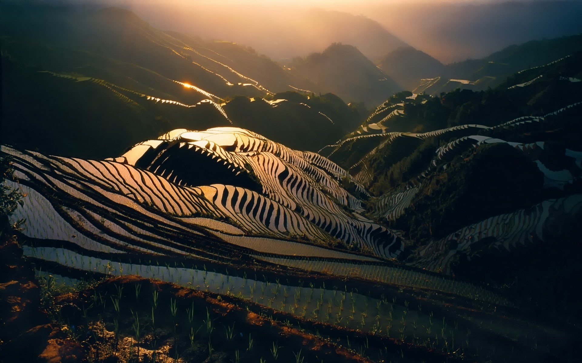 landscape, morning, sunlight, China, mist, water, terraces, 1080P, mountains, terraced field, nature, rice paddy, farm, hills, valley, HD Wallpaper
