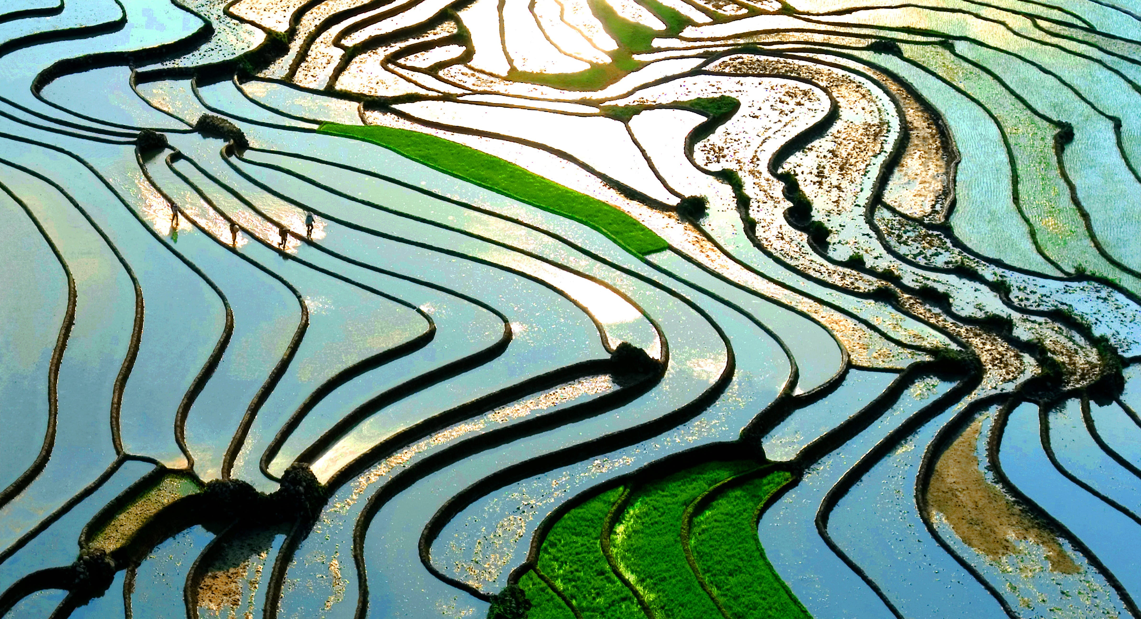 black, ornate, terraces, blue, no people, paint, day, 4K, sunlight, water, multi colored, art and craft, plant, beauty in nature, nature, textured, pattern, HD Wallpaper
