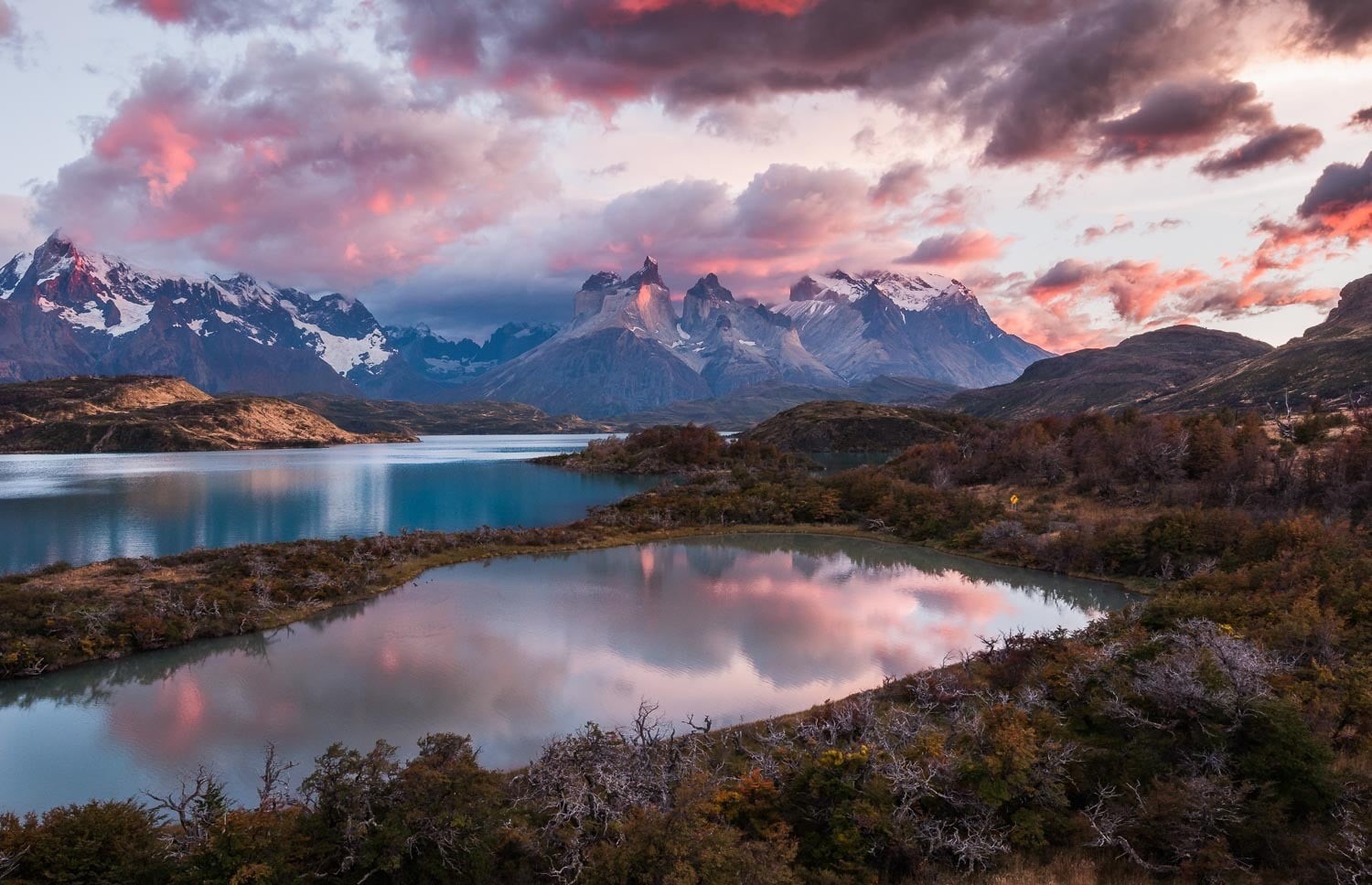 cloud - sky, shrubs, mountain peak, national park, Torres del Paine, no people, sunrise, mountain, mountain range, snowcapped mountain, leaf, Chile, scenics - nature, HD Wallpaper