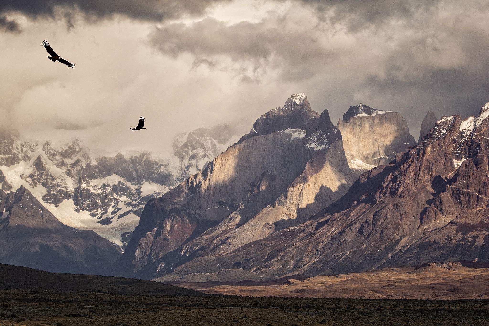 birds, morning, sunlight, Patagonia, mountains, condors, 1080P, snowy peak, Torres del Paine, landscape, photography, flying, national park, nature, Chile, HD Wallpaper