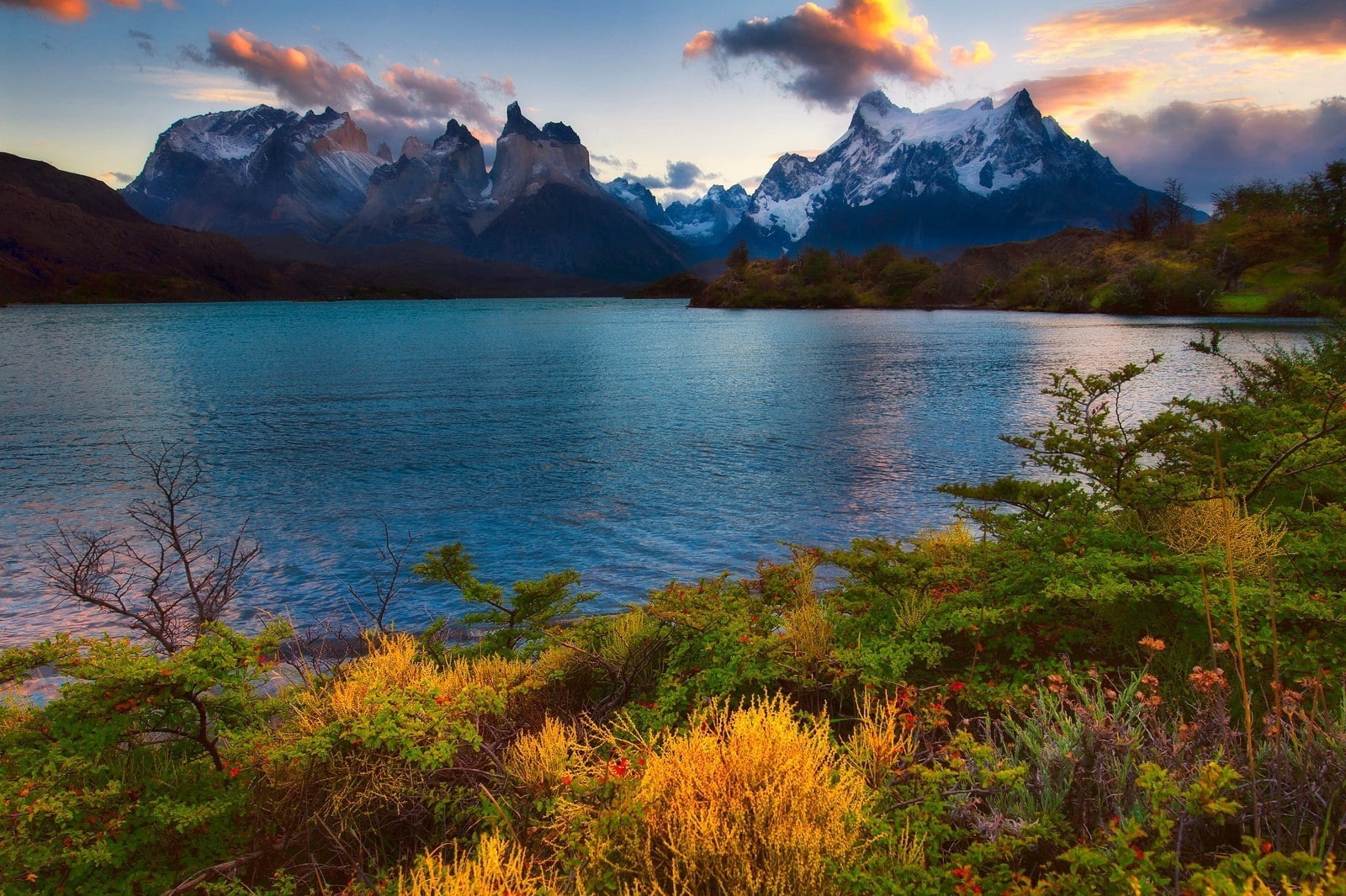 tranquil scene, sky, land, Wildflowers, tranquility, autumn, National Park, outdoors, mountain range, Snowy Peak, Torres Del Paine, cloud - sky, 720P, HD Wallpaper