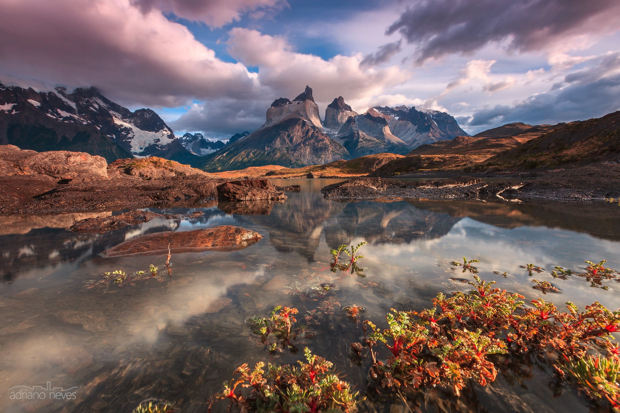 landscape, water, plant, scenics - nature, Nordenskjöld Lake, lake, mountain peak, reflection, Chile, February, tranquil scene, sky, nature, sunset, mountain range, HD Wallpaper