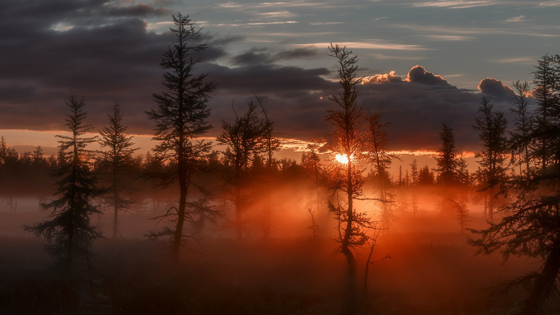 sunset, 1080P, no people, russia, dawn, reflection lake, outdoors, mist, sunrise, rays, sunray, forest, sunlight, red sky at morning, silhouette, sky, HD Wallpaper
