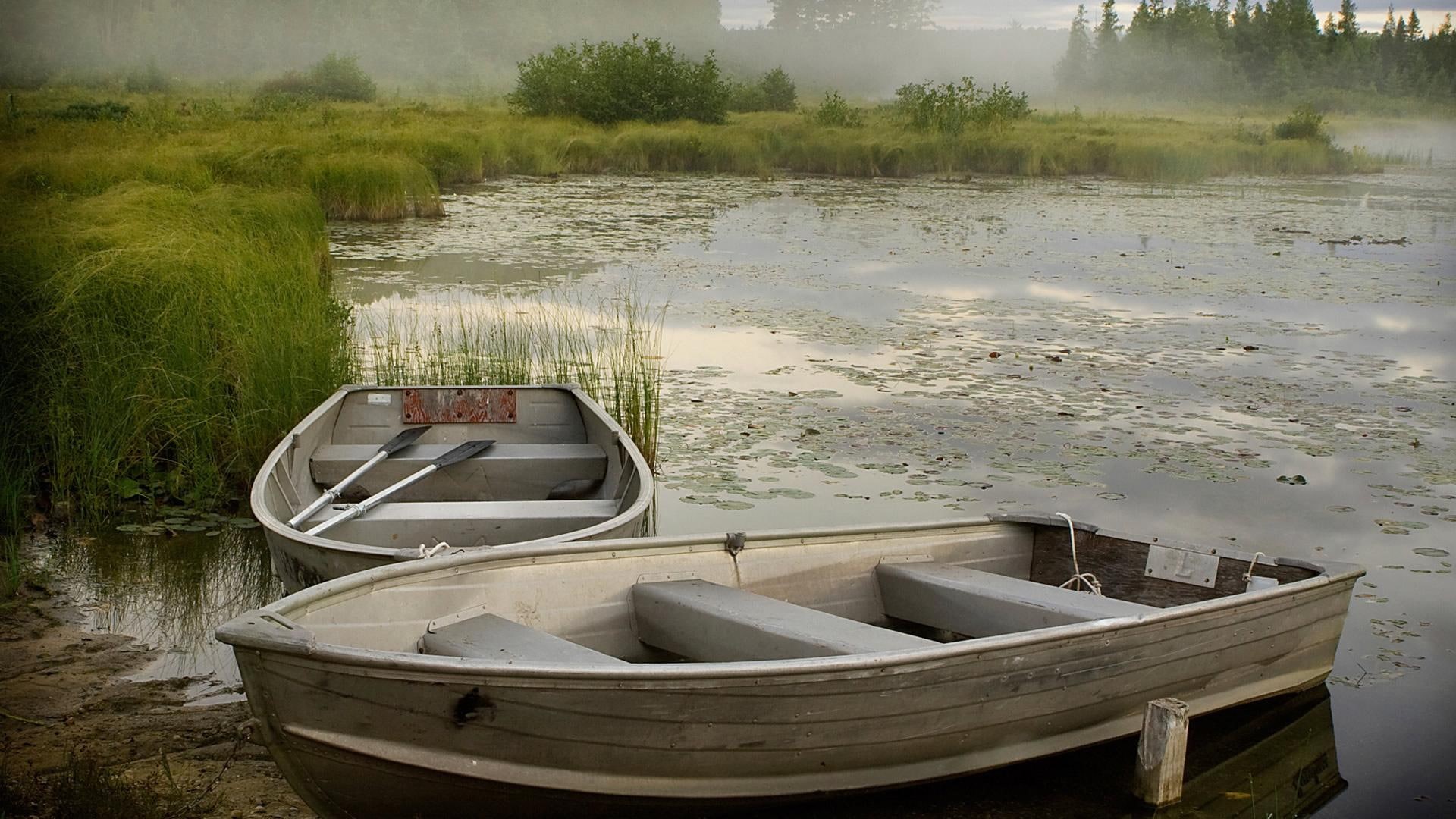misty, lake, morning, mist, grass, boats, 1080P, rowboats, HD Wallpaper