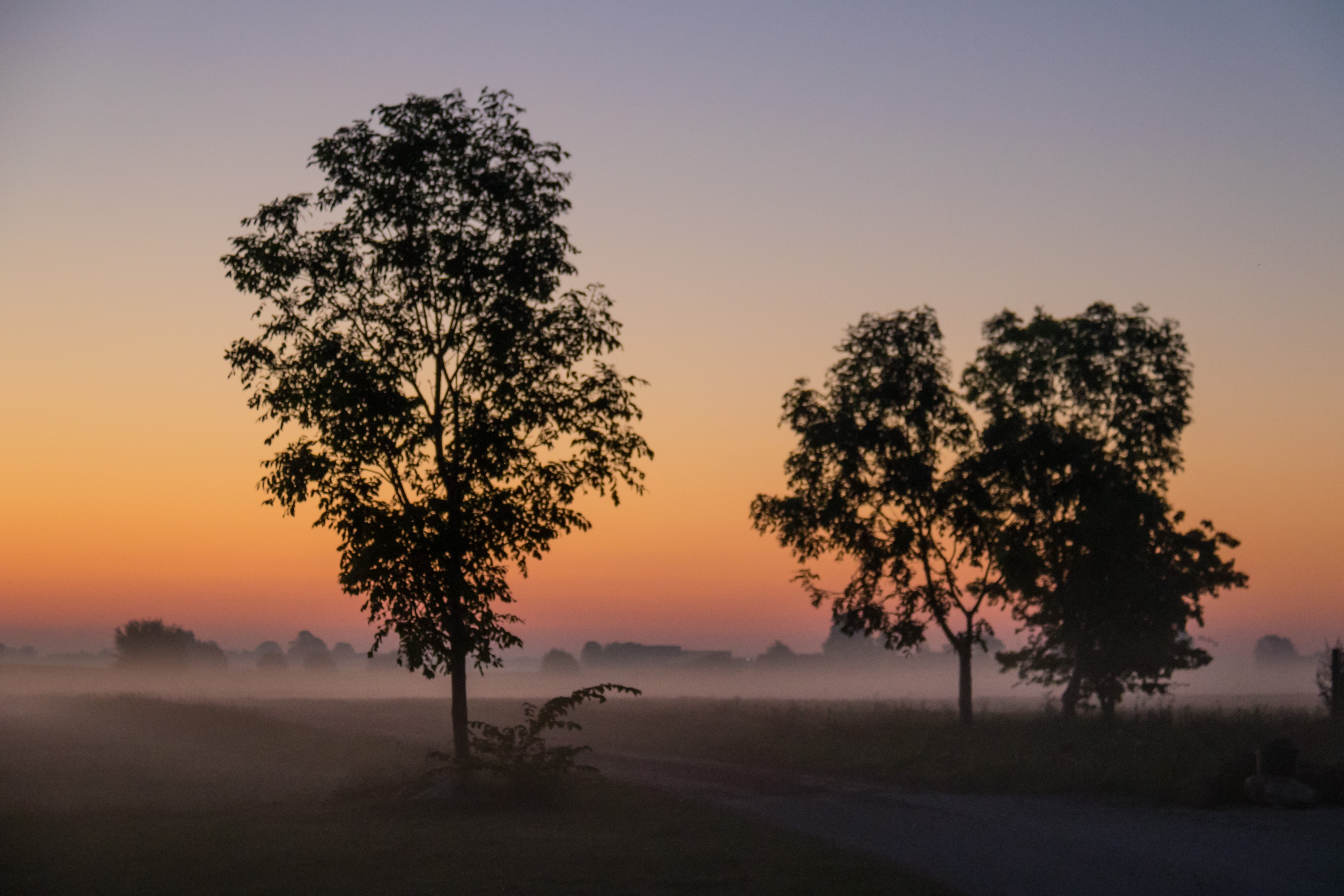 country, back Lit, sky, animal, countryside, canon, landskap, geo, silhouette, golden hour, Misty, city, mist, sunrise - Dawn, nature, lens, sunrise, ef, HD Wallpaper
