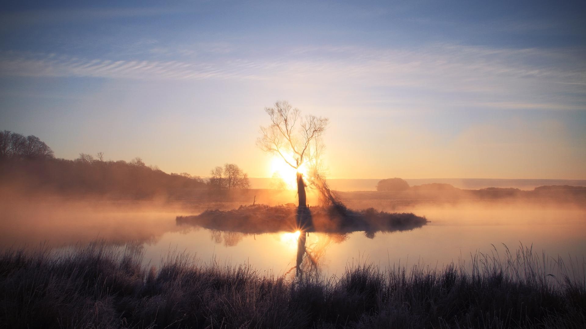morning, nature and landscapes, grass, island, tree, misty, sunrise, sunday, 1080P, pond, mist, HD Wallpaper