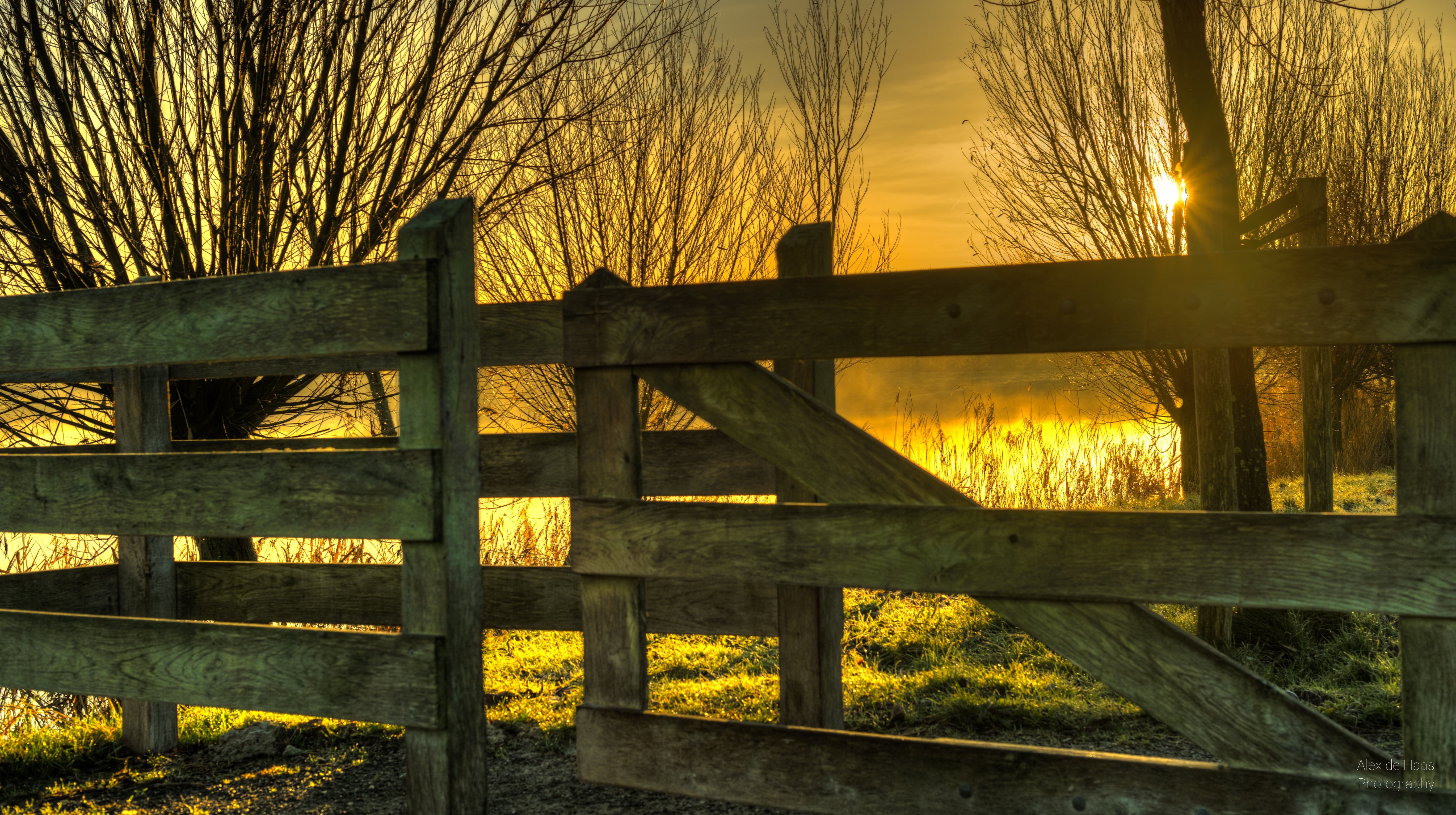 orange skies, Nederland, landscape, 5K, fire, bomen, zon, beautiful, outdoors, bare trees, Nikon D5, Nikkor, mist, West-Friesland, yellow, kale, fog, beauty, HD Wallpaper