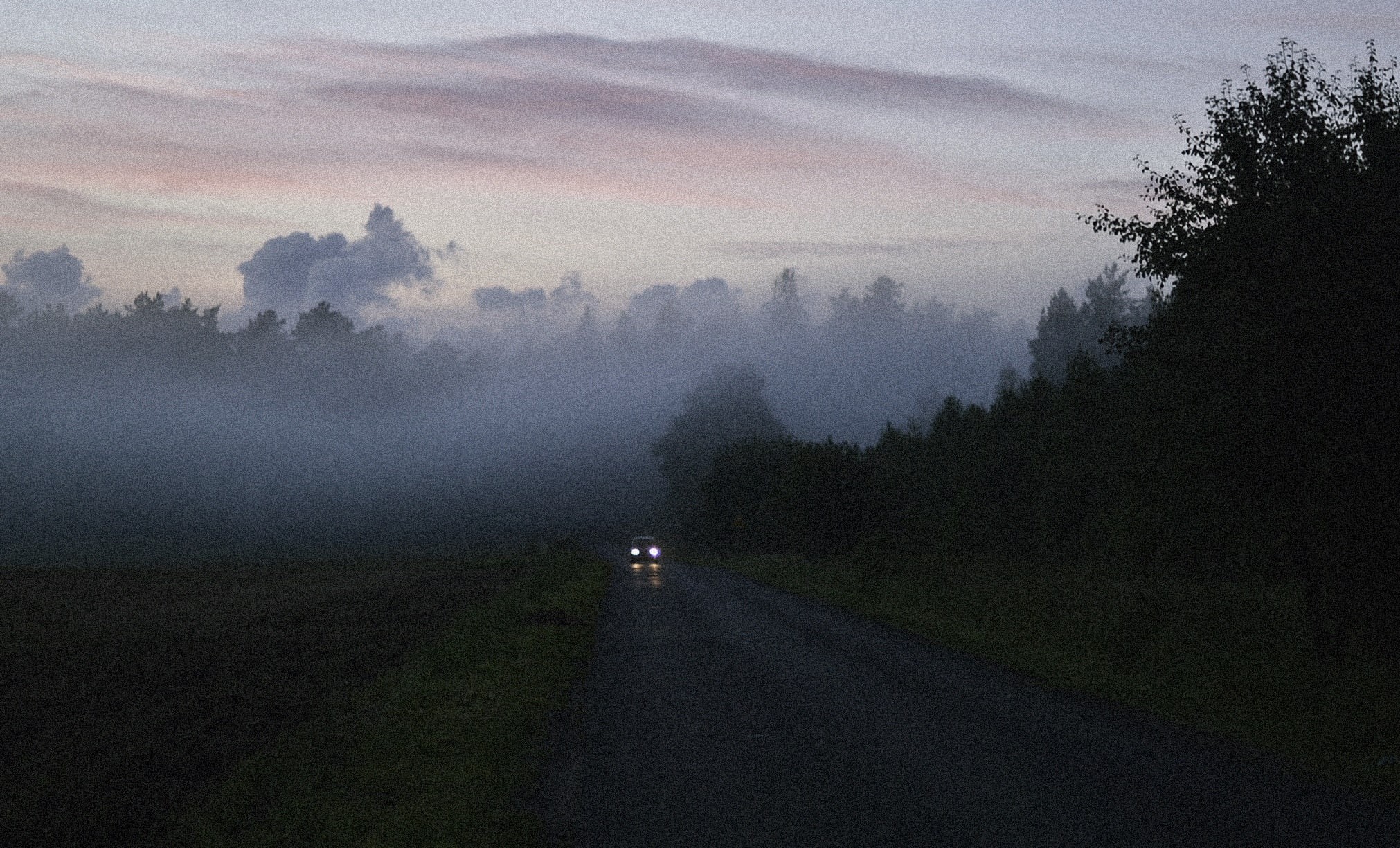 foggy, misty, road, sunrise, woodland, dawn, morning, mist, car, fog, 1080P, HD Wallpaper