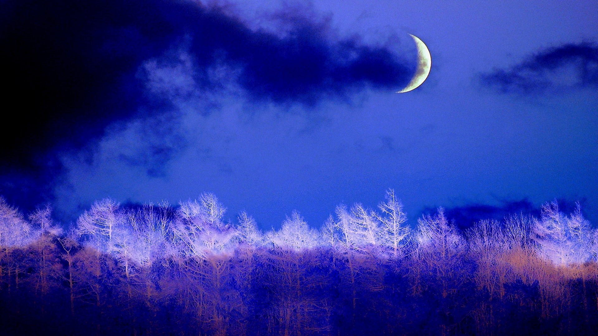 1080P, forest, crescent, winter night, evening, celestial event, blue, darkness, night, cumulus, moonlight, moon, sky, HD Wallpaper