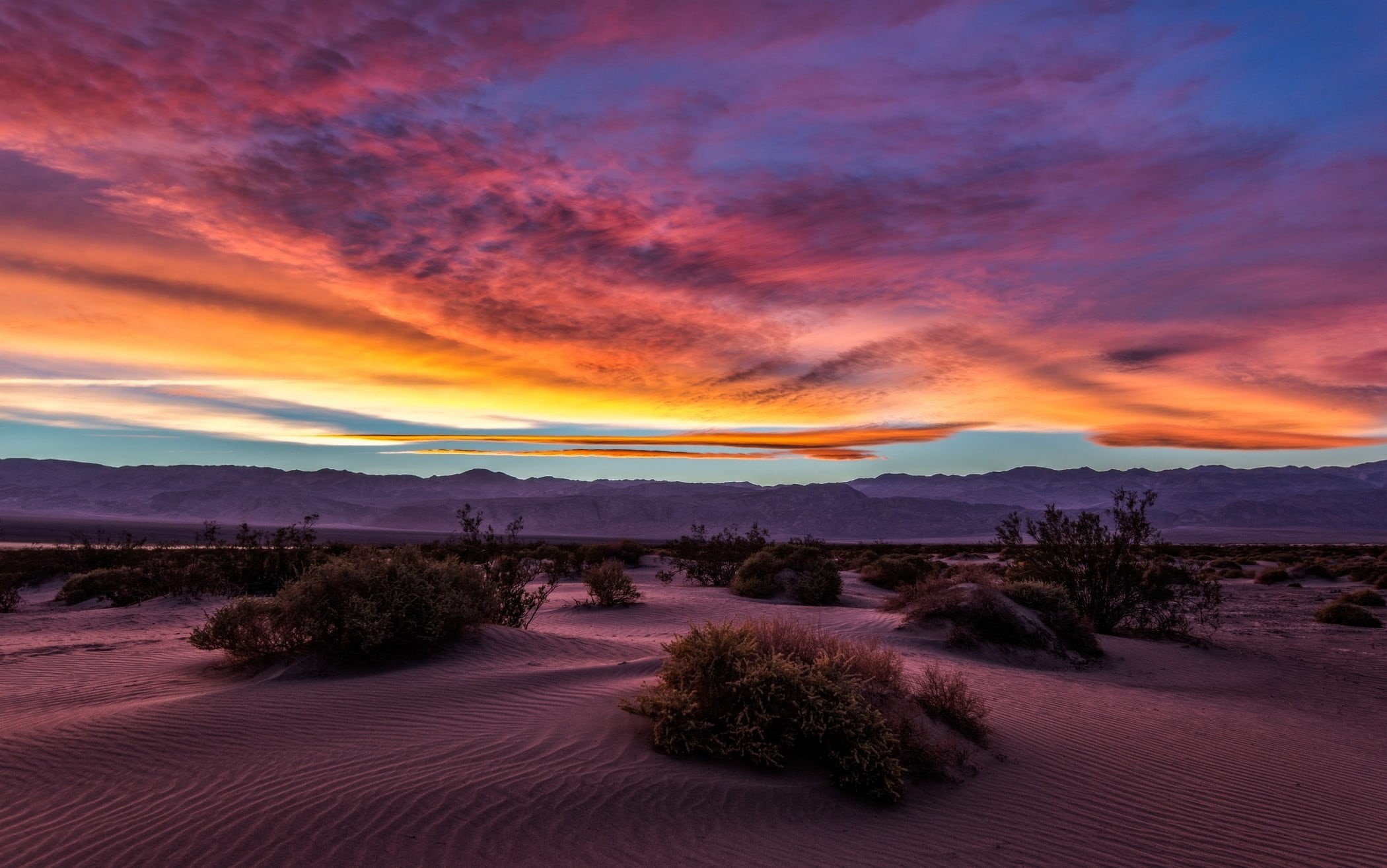 tree, scenics - nature, tranquil scene, dramatic sky, Death Valley, non-urban scene, outdoors, sand, orange color, mountain, cloud - sky, mountains, sunset, HD Wallpaper