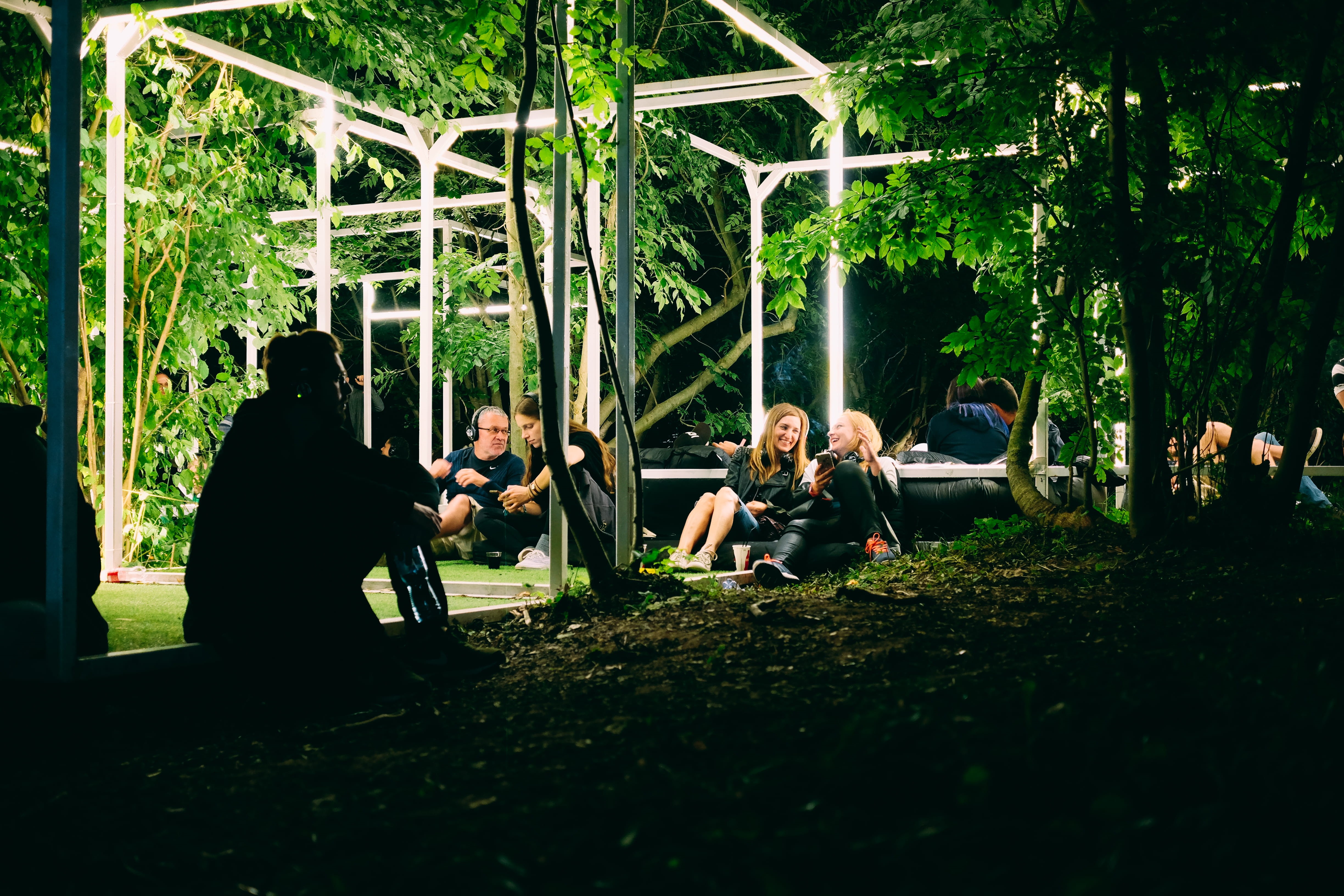 women, friends, sitting, music, enjoyment, growth, chill, social, men, tree, green color, people, nature, outdoors, plant, group, leisure activity, 4K, HD Wallpaper