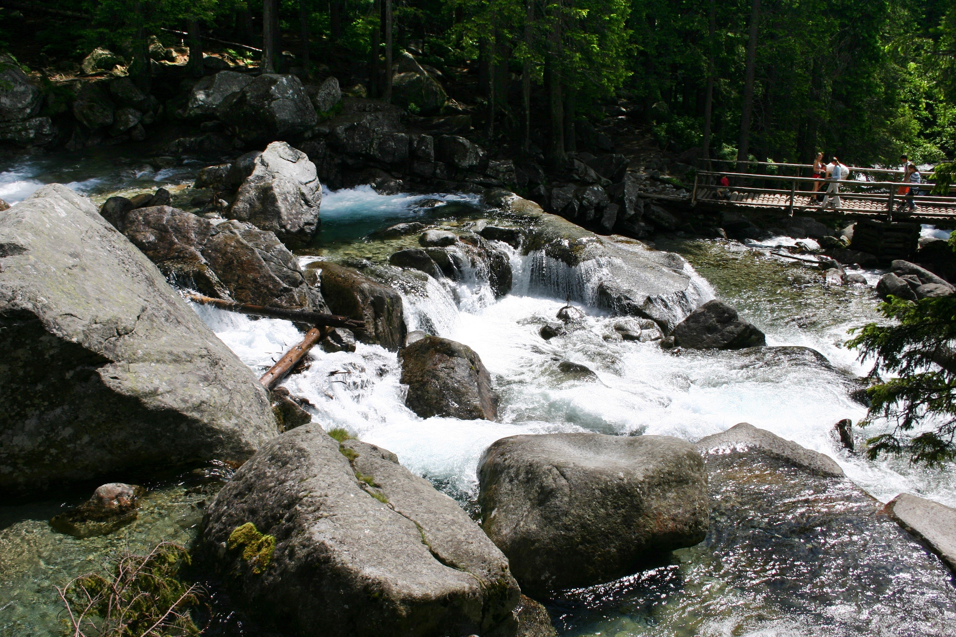 mountains, rock - object, nature, scenics - nature, power in nature, tree, rock, water, stream - flowing water, plant, vysoké tatry, outdoors, forest, flowing, HD Wallpaper