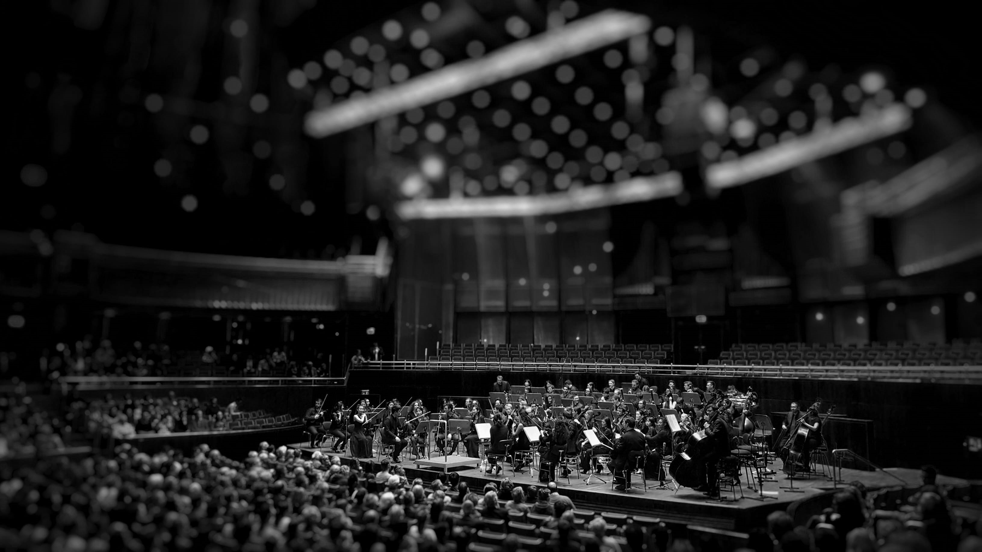 women, arts culture and entertainment, theatre, audience, building, inside, grayscale, crowd, concert, 2K, stage, people, music, festival, peoples, lifestyles, HD Wallpaper