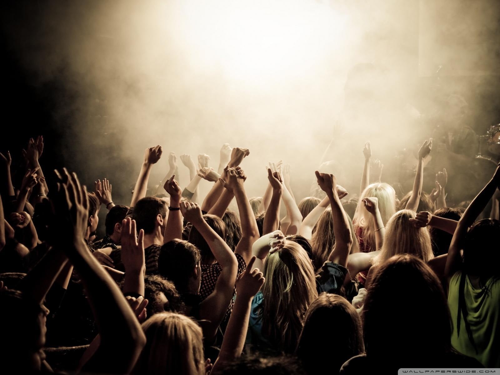 concerts, music, 720P, music festival, HD Wallpaper