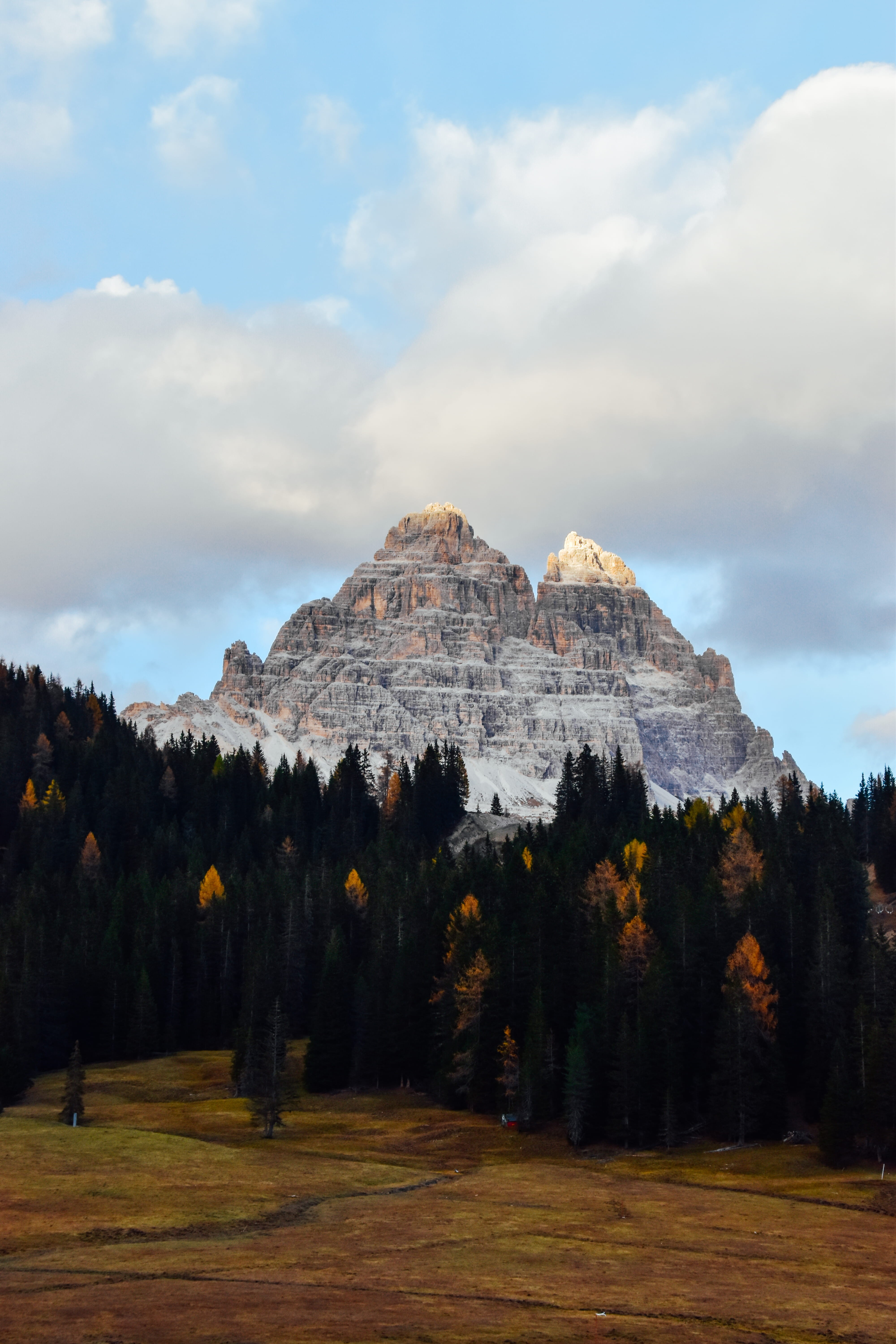 field, mountain peak, hour, italy, abies, scenics - nature, land, beauty in nature, sky, outdoors, no people, tree, plant, autumn, 5K, non-urban scene, Phone HD Wallpaper