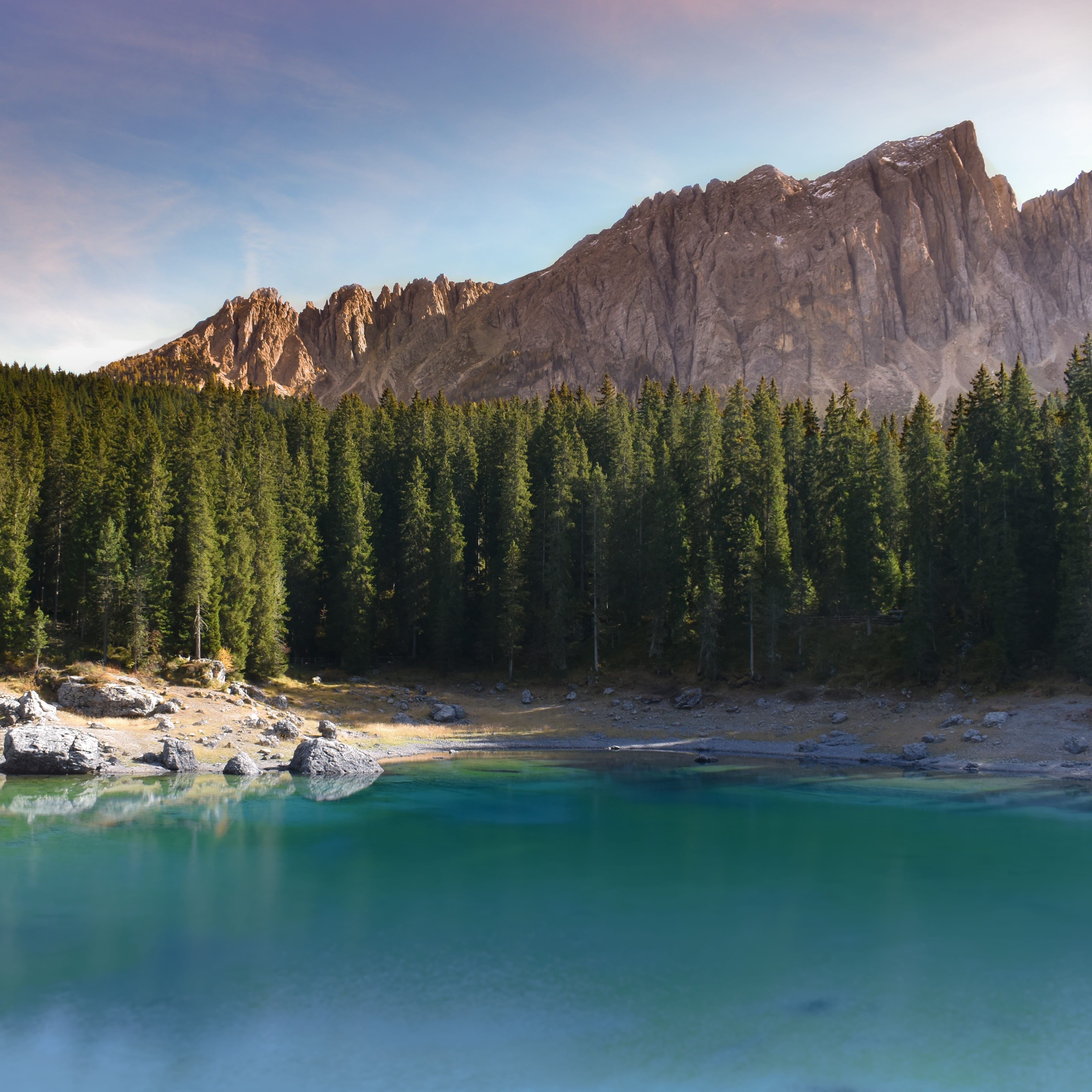 rock formation, scenics - nature, remote, beauty in nature, sea life, tranquility, forest, outdoors, bird, idyllic, tranquil scene, mountain, animal, turtle, Phone HD Wallpaper