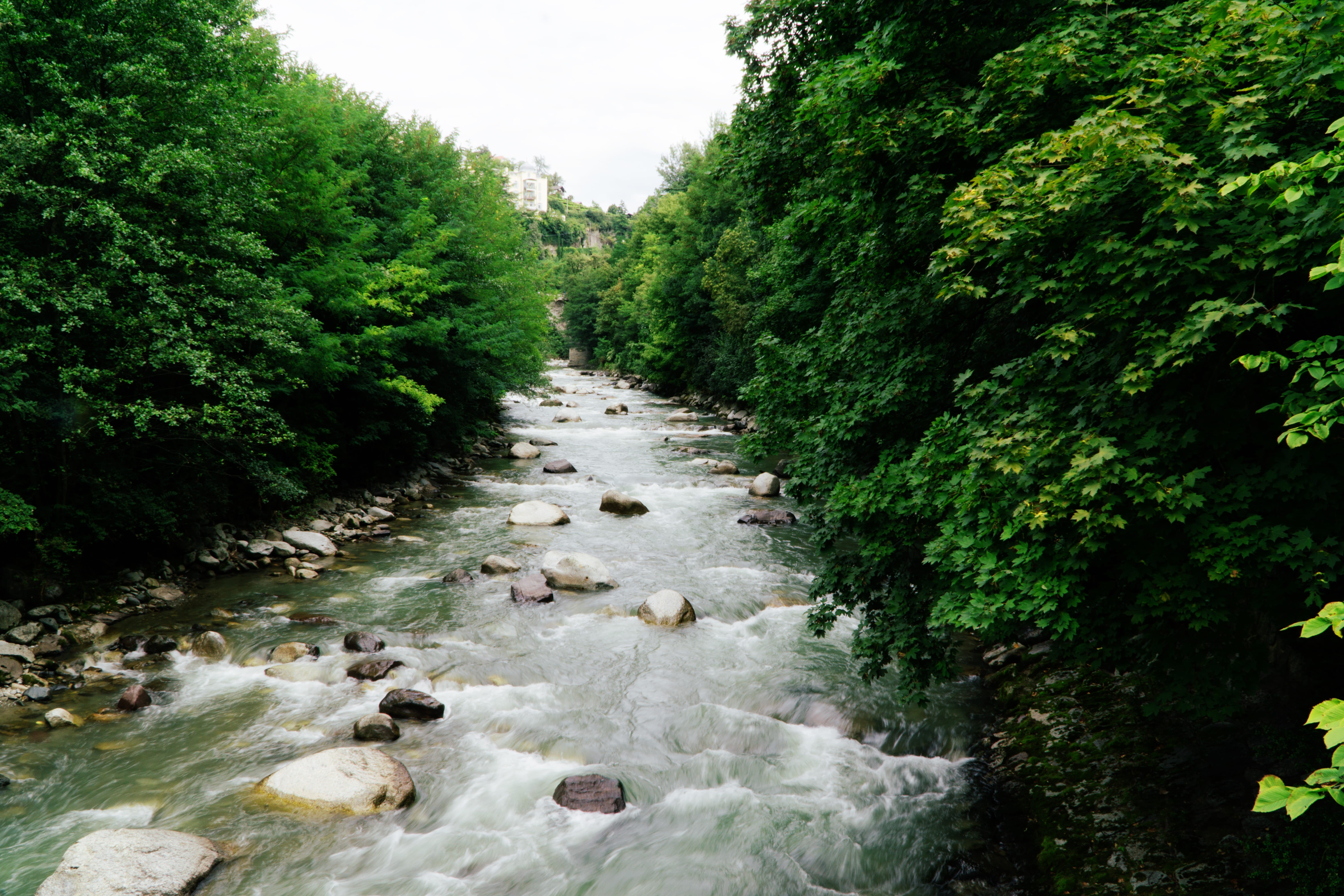 river, outdoor, green, trees, flow, italy, long exposure, water, bolzano, outdoors, nature, green color, flowing water, tree, 5K, beauty in nature, no people, HD Wallpaper