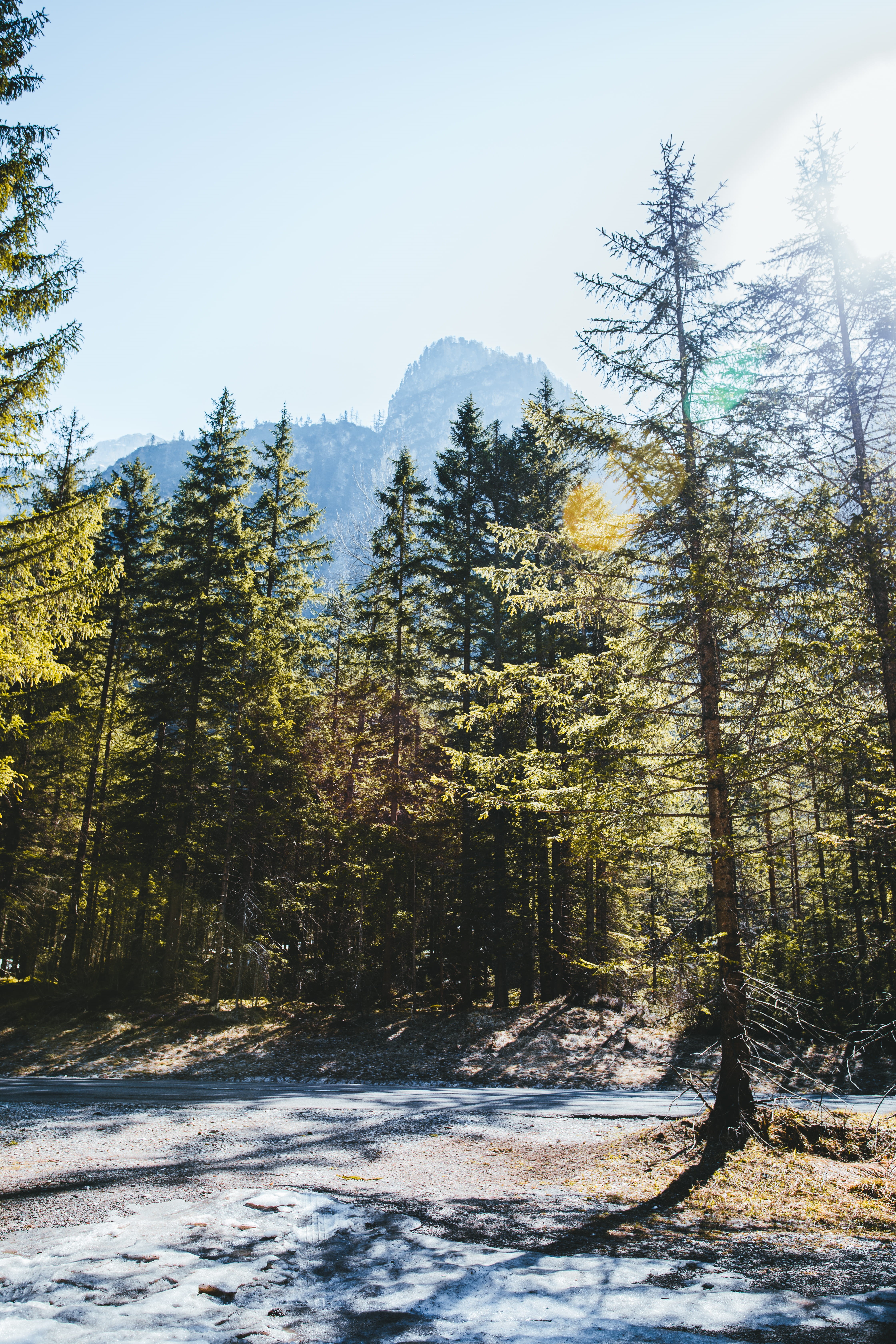 travel, blue, landscape, beauty in nature, cold temperature, italy, sky, south tyrol, woodland, forest, day, alpine, tranquil scene, flora, tranquility, Phone HD Wallpaper