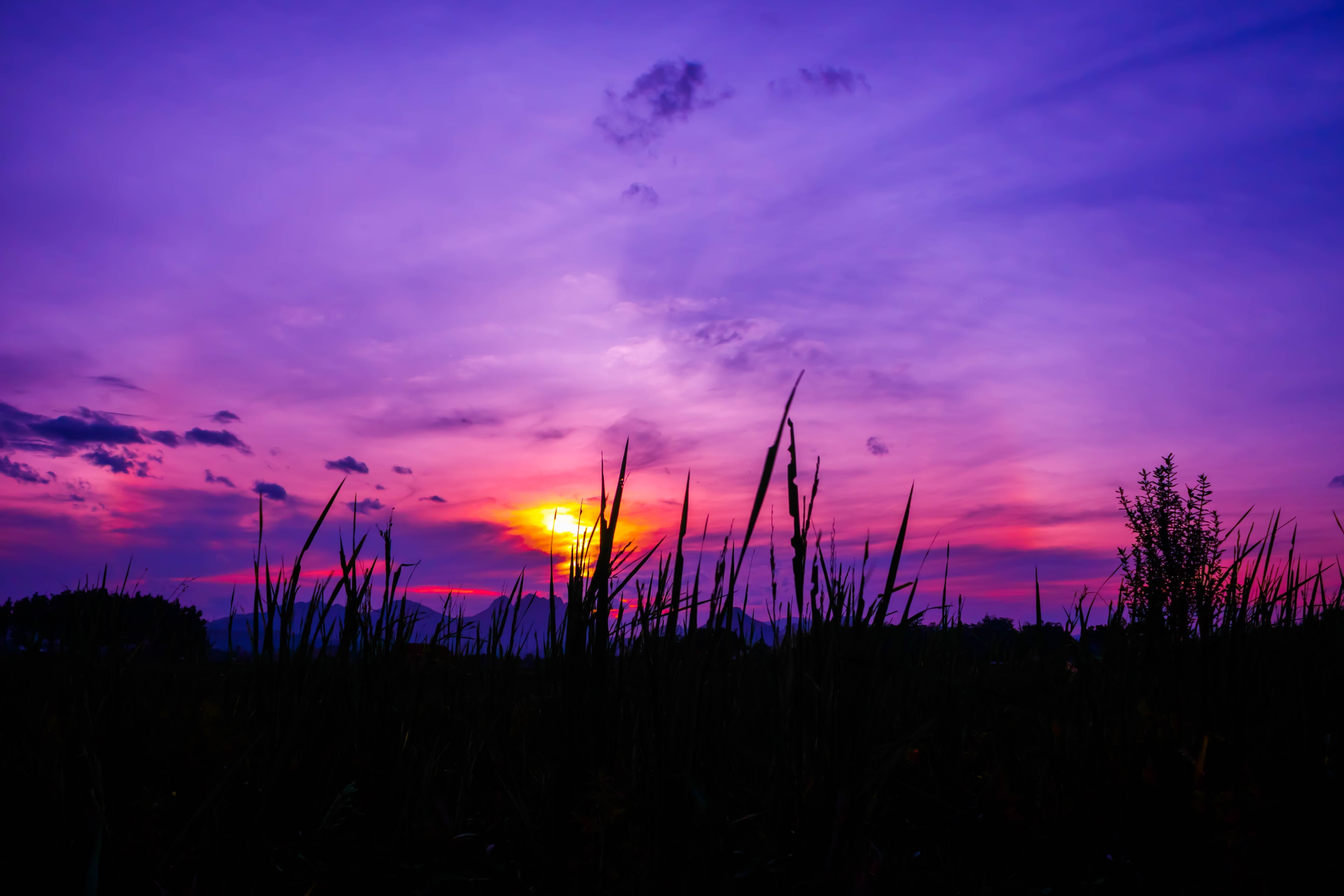 twilight, blue, summer, dusk, scenics, dramatic sky, purple, sunlight, beauty In Nature, dawn, sky, backgrounds, multi Colored, romantic sky, sunset, tree, HD Wallpaper