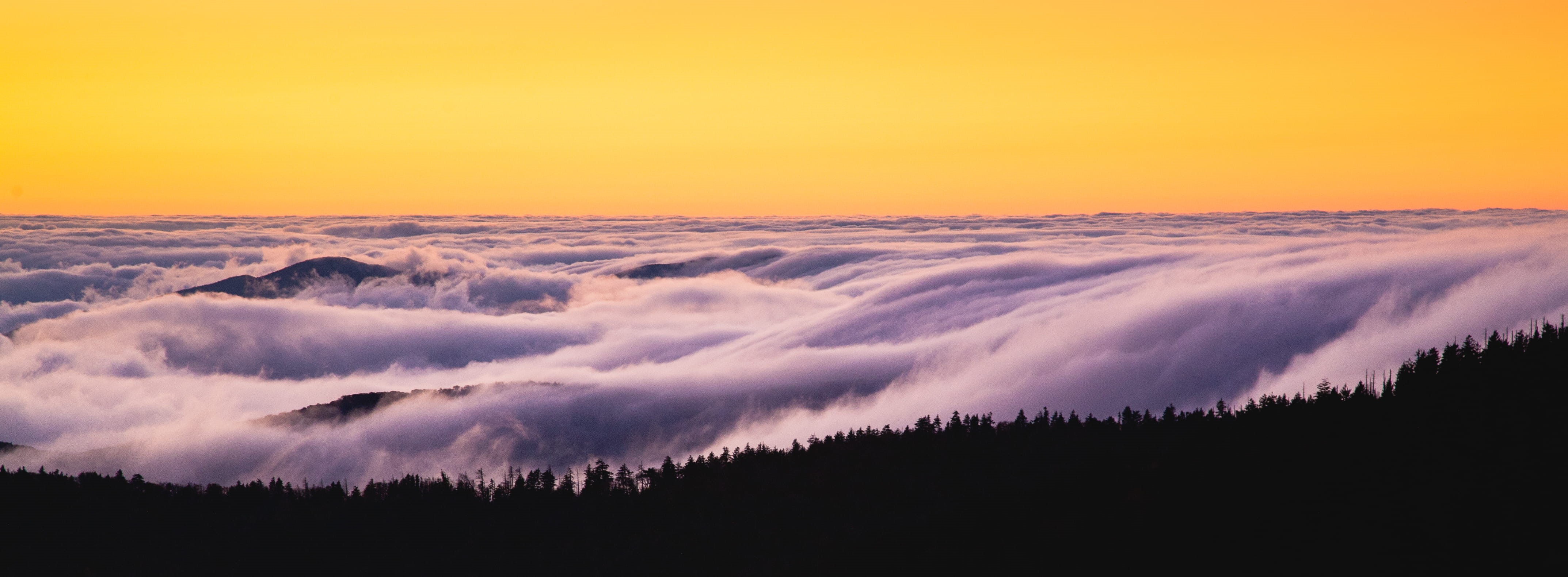 dusk, fog, 4K, dawn, tranquil scene, dramatic sky, non-urban scene, sun, tranquility, plant, clouds, travel, pine tree, beauty in nature, cloud - sky, HD Wallpaper