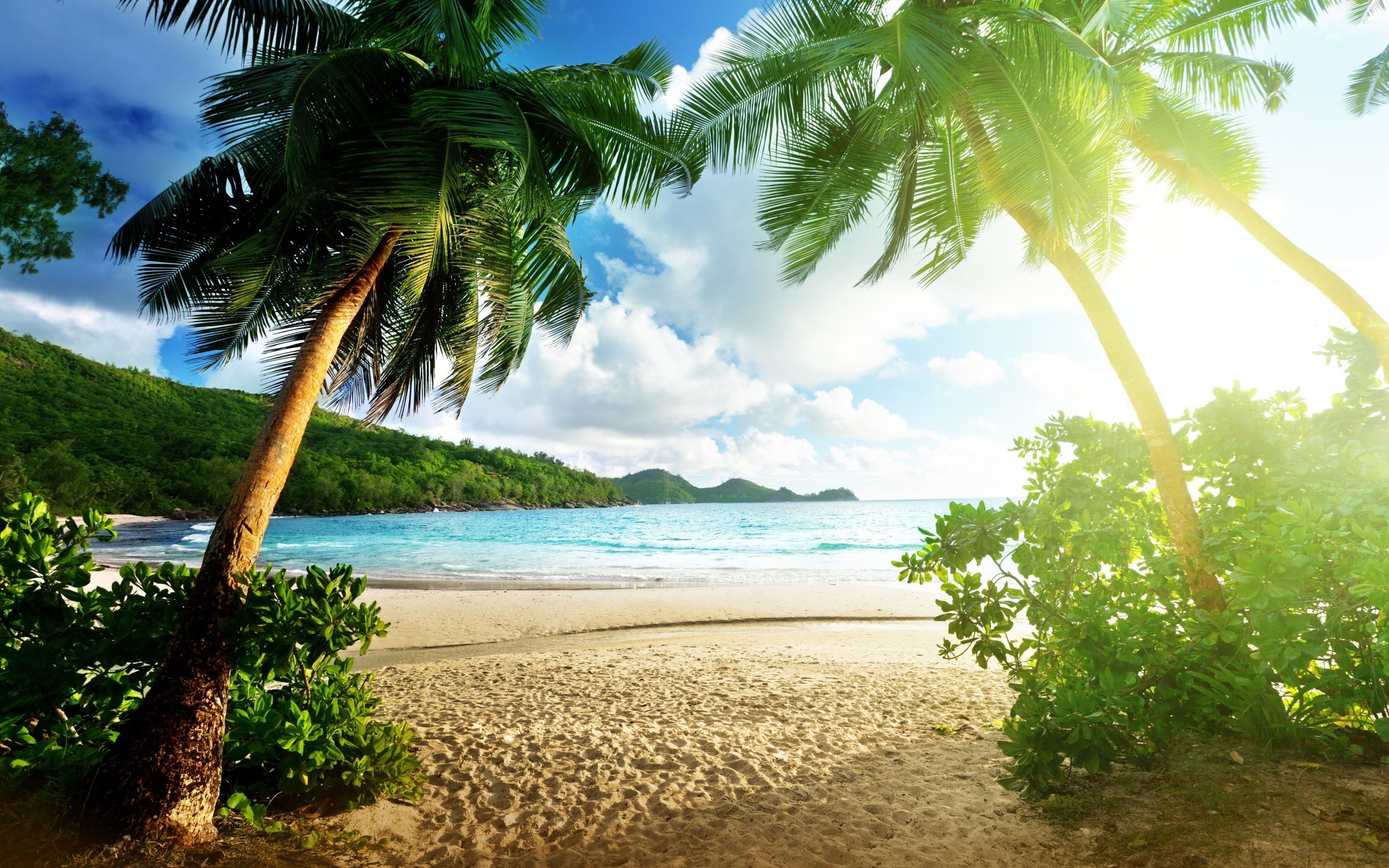Island, Palm, Landscape, Trees, Beach, Clouds, Sea, Sky, 2K, HD Wallpaper