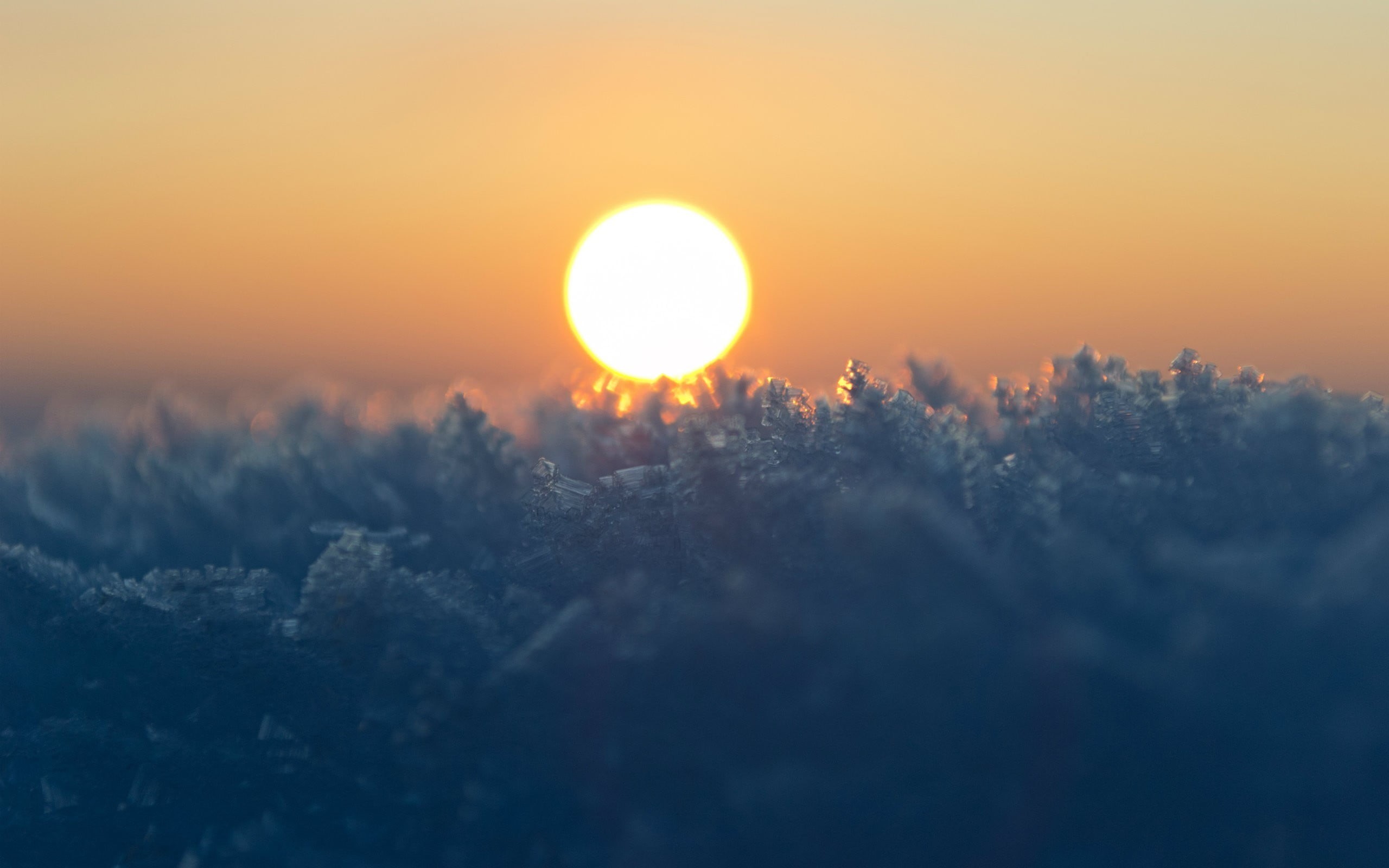 tree, orange, ice, brightly lit, cloud - Sky, mountain, landscape, Sun, season, weather, scenics, orange Color, scenics - nature, golden, sunlight, day, HD Wallpaper