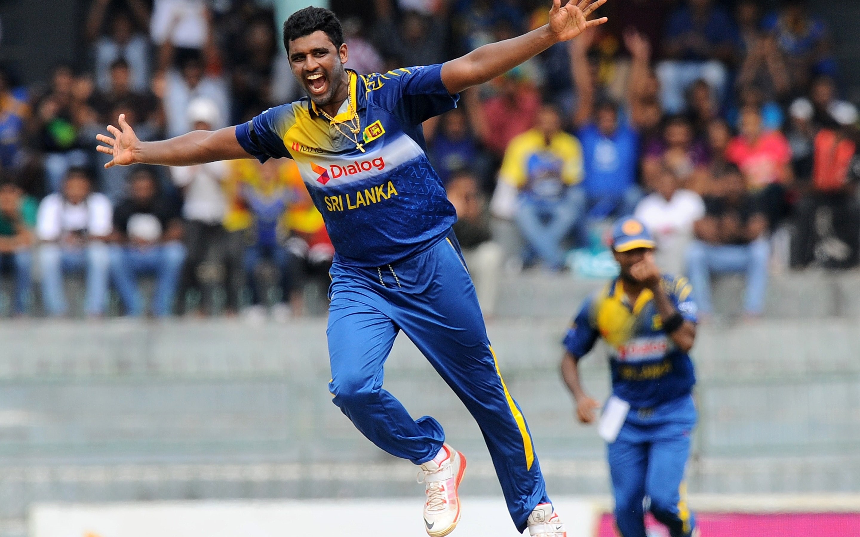 cricket, lanka, sri, happy, 2K, joy, HD Wallpaper