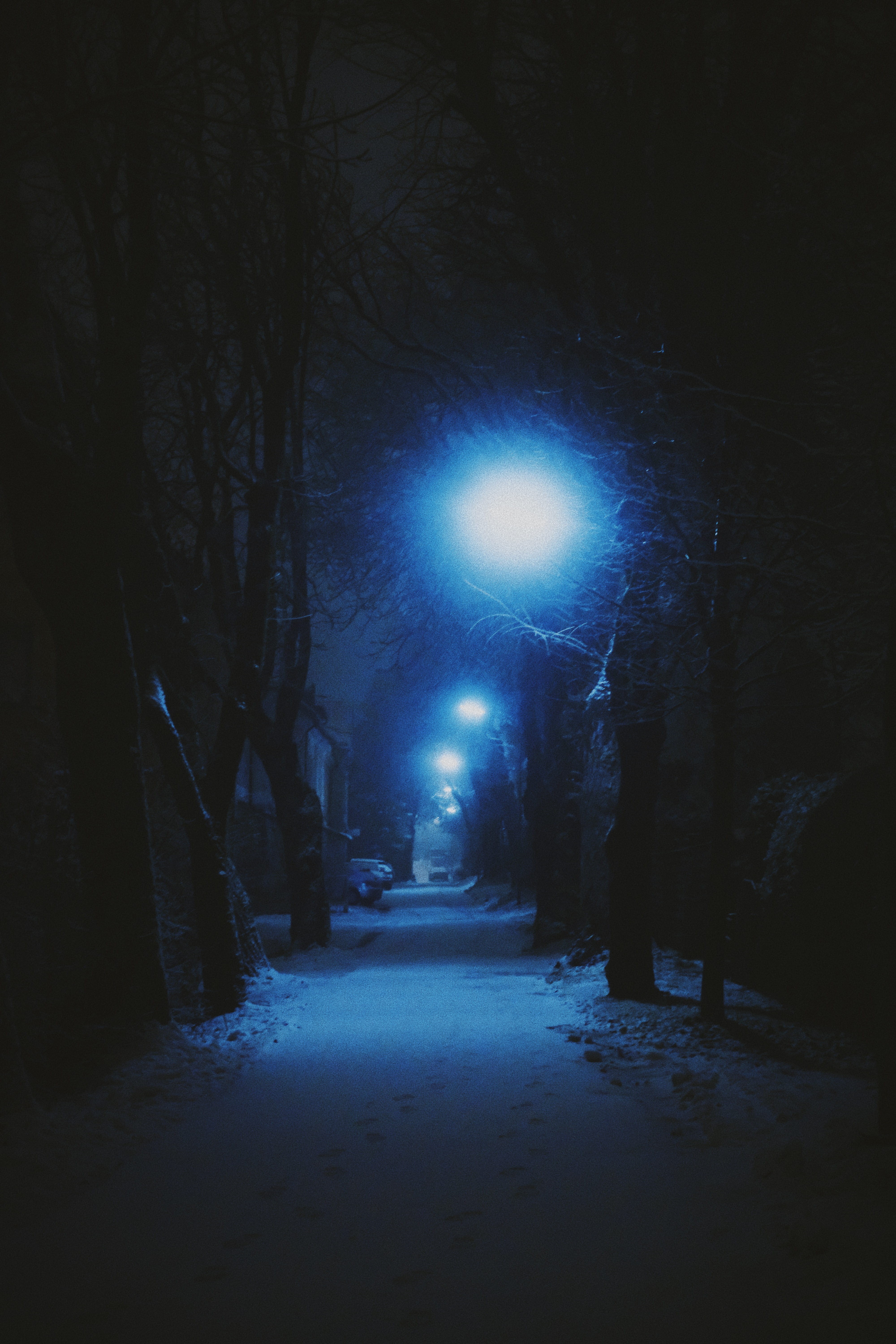 snowfall, diminishing perspective, landscape, outdoors, avenue, street light, lighting equipment, night, direction, no people, winter, tree, the way forward, Phone HD Wallpaper