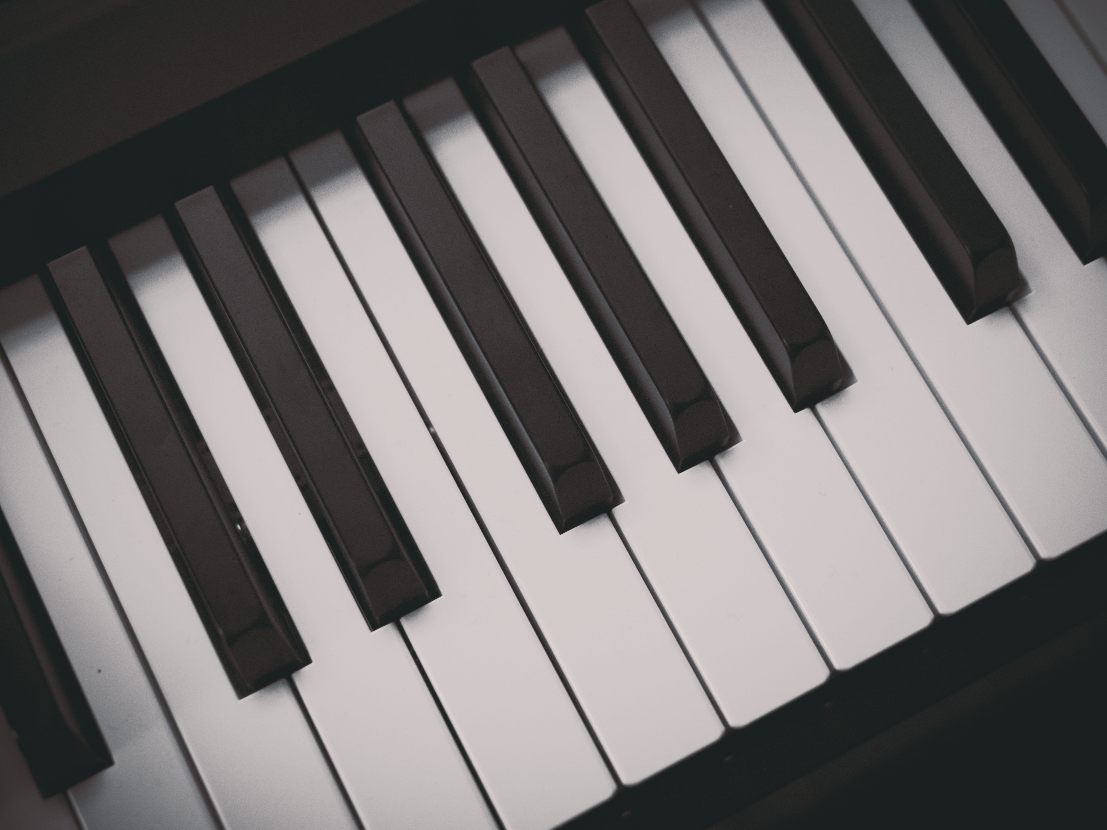 classical Music, piano, arts And Entertainment, playing, play, 4K, music, melody, musical Instrument, no people, song, accordion, musical, musical equipment, HD Wallpaper
