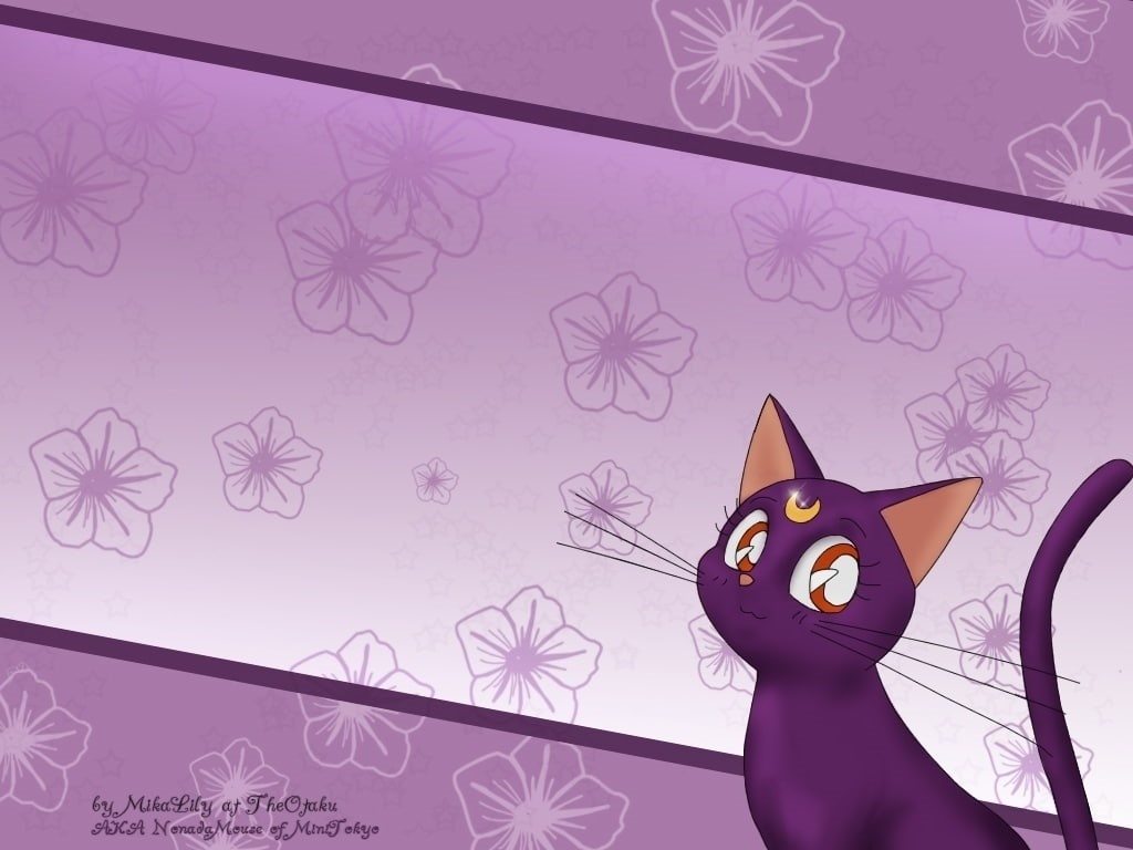 Flowers, Luna, art, cat, sailor, Sailor Moon, flower, hd, Moon, 480P, anime, HD Wallpaper