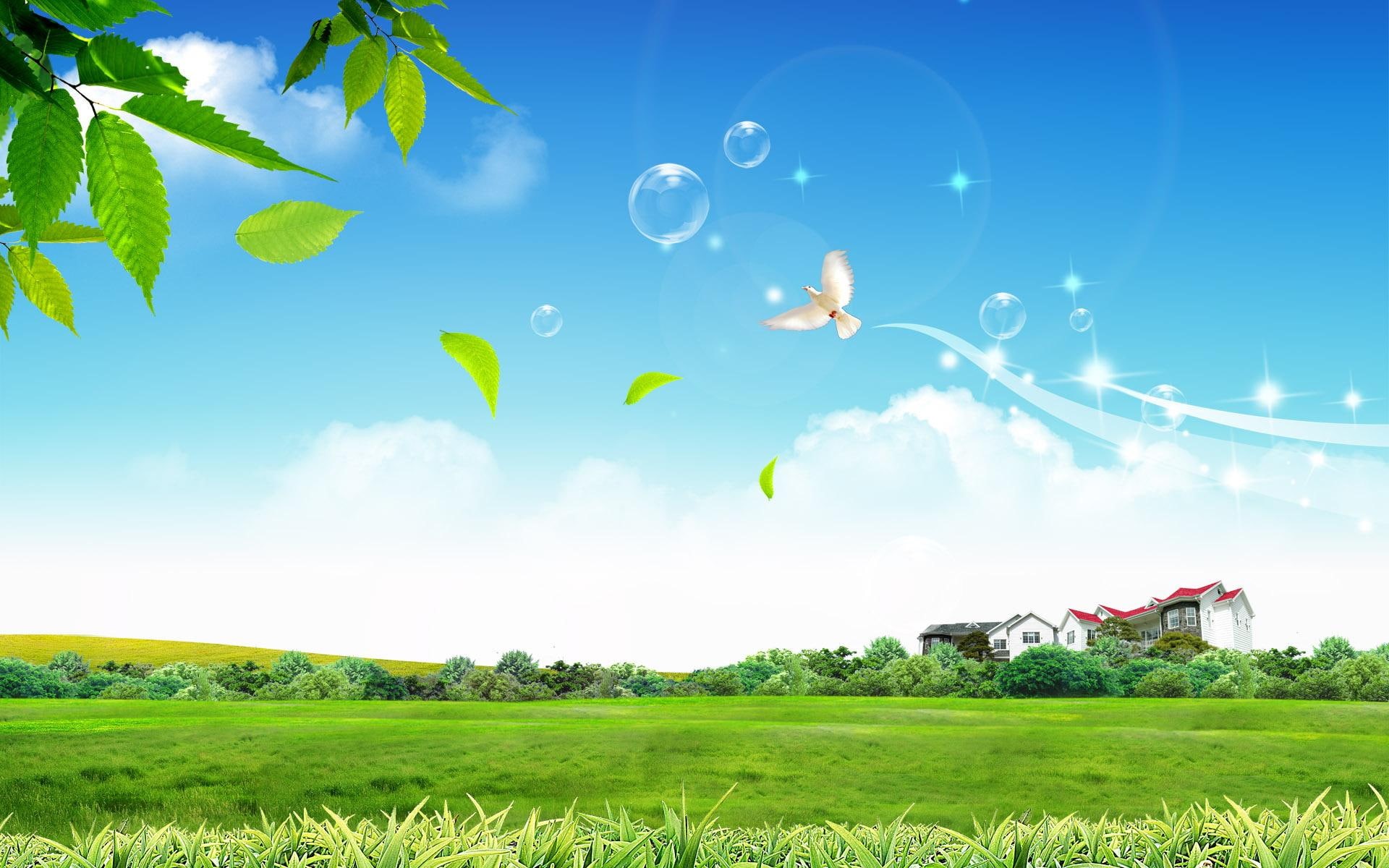 lawn, peaceful, dreamy and fantasy, green, life, 1080P, grass, HD Wallpaper