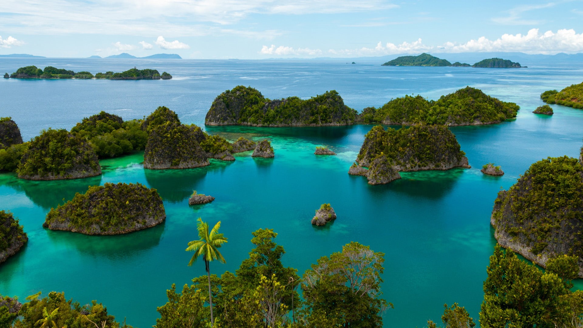 tropics, indonesia, scuba, hd, islands, diving, planet, ampat, best, raja, 1080P, HD Wallpaper