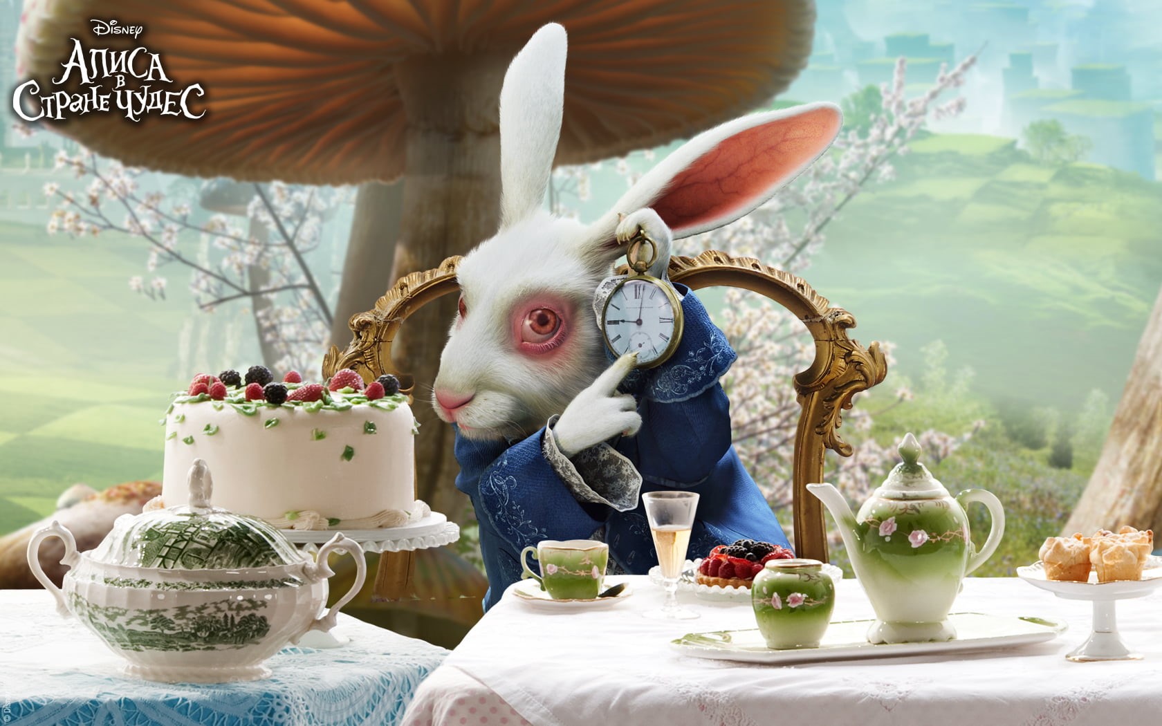 cup, wedding, watch, backgrounds, cultures, dessert, blue, Alice in Wonderland, party - Social Event, day, plate, gourmet, fruit, food, mammal, nature, HD Wallpaper