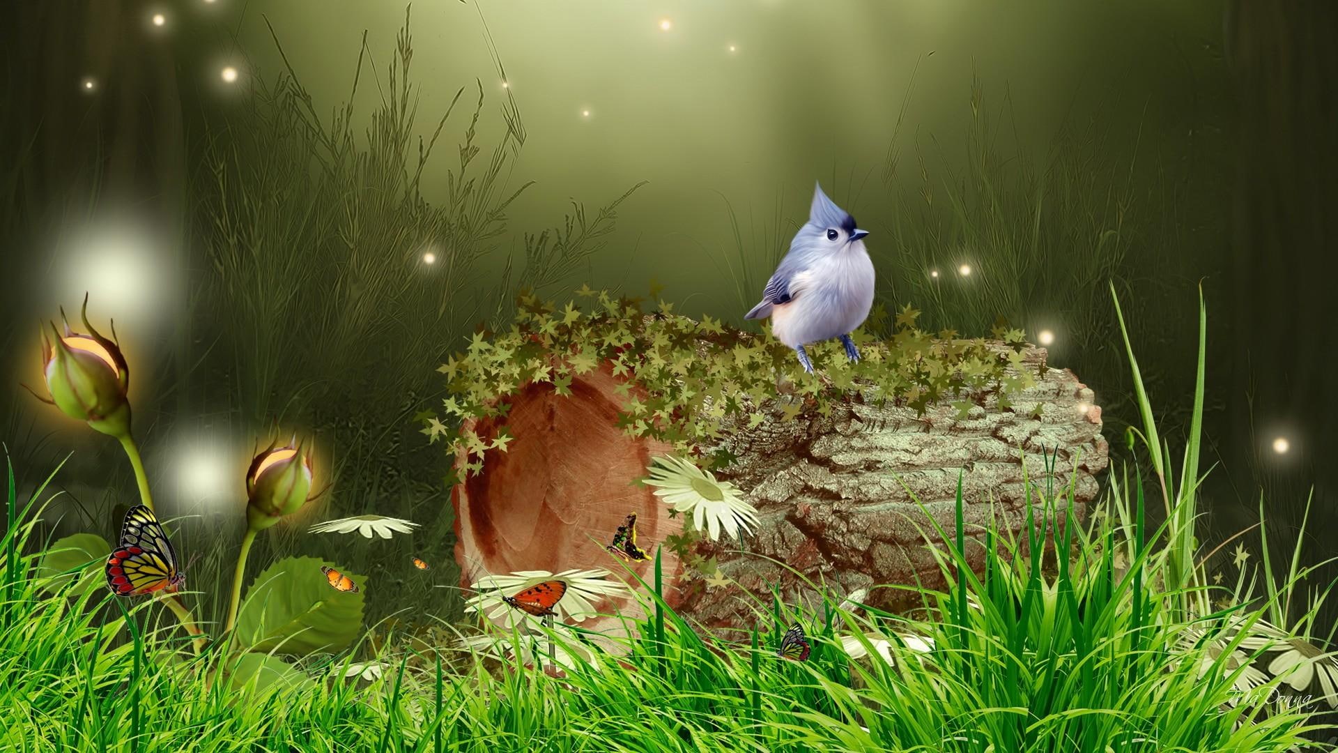 trees, bird, forest, light, 1080P, enchanting, butterflies, flowers, glow, animals, grass, lights, HD Wallpaper
