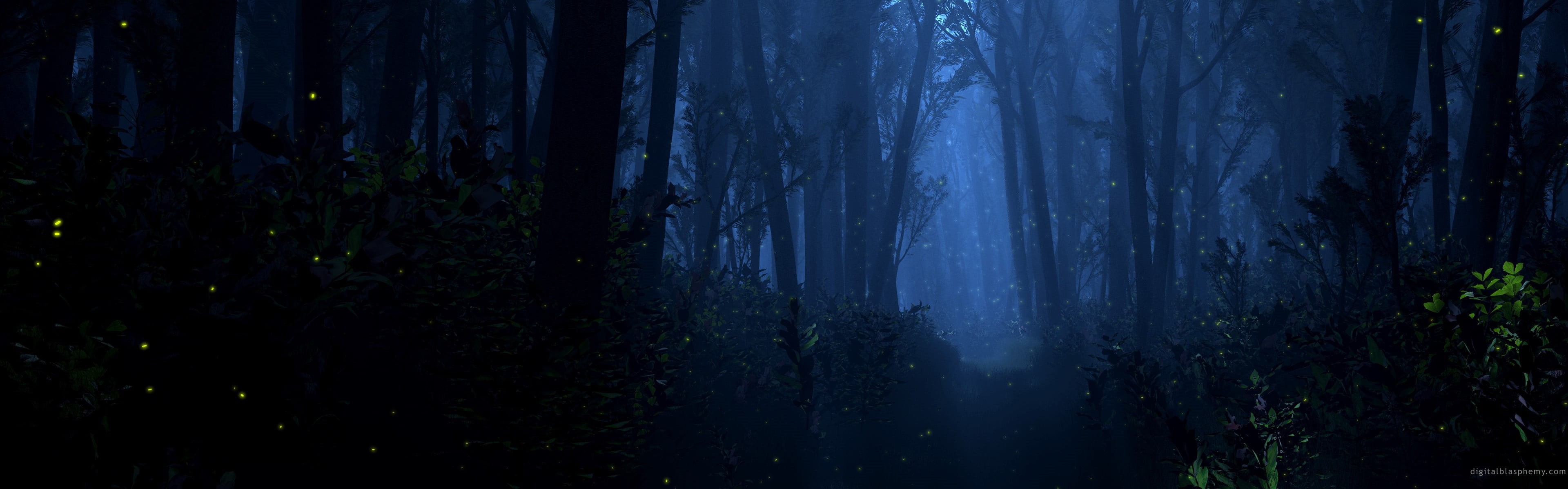 environment, forest, night, no people, scenics - nature, untitled, growth, tranquil scene, outdoors, land, tranquility, non-urban scene, plant, nature, HD Wallpaper