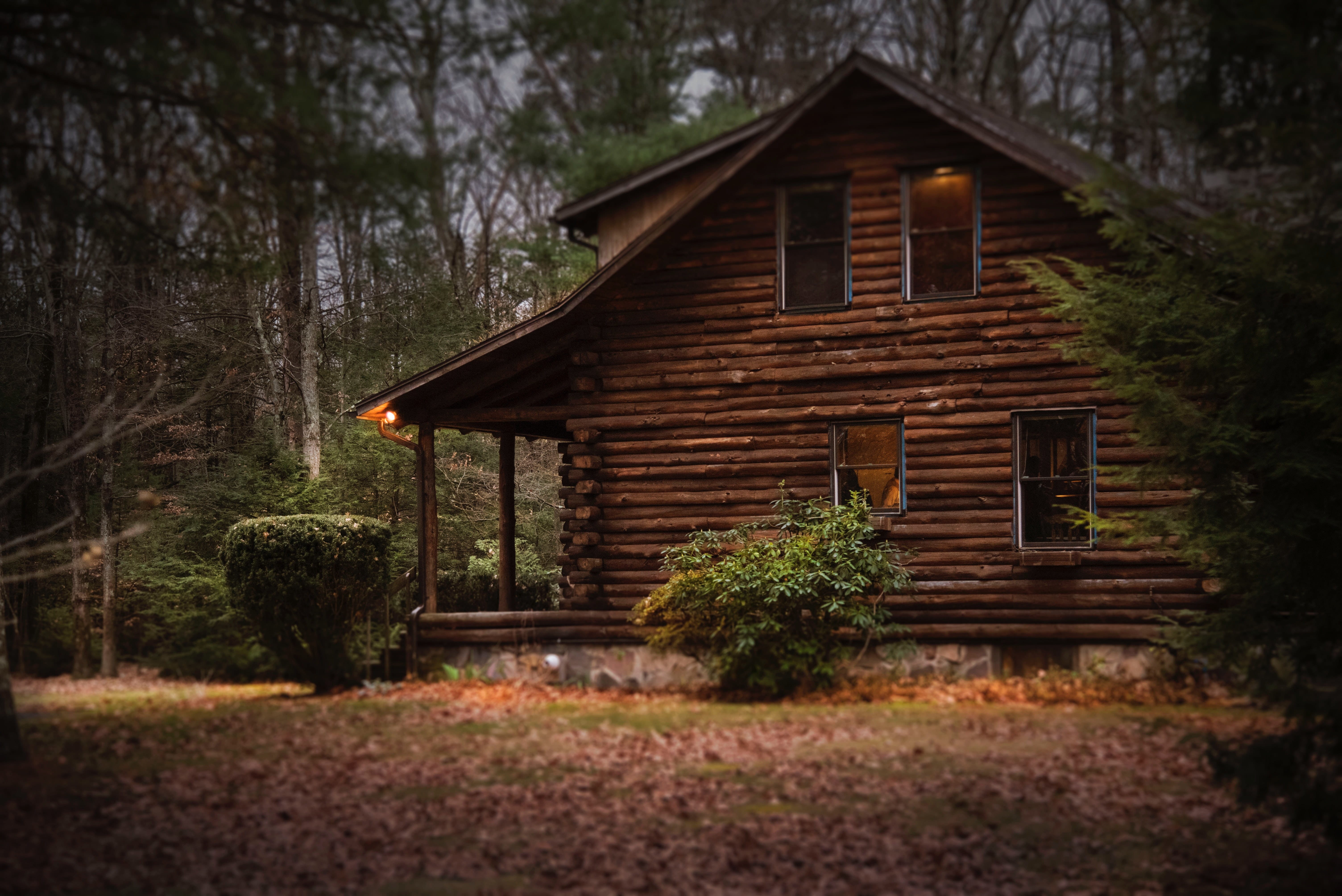 landscape, day, travel, building exterior, tree, wood - material, 5K, architecture, outdoors, forest, building feature, house, nature, log cabin, no people, HD Wallpaper