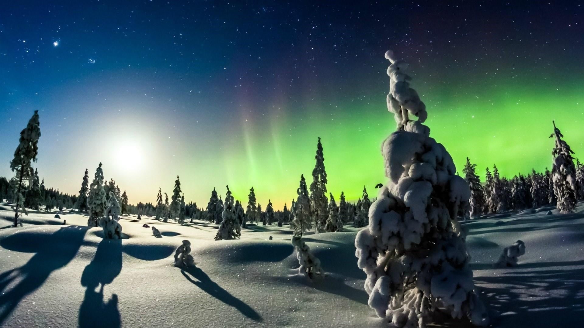 freezing, 1080P, atmosphere, winter, built structure, art and craft, night, sculpture, no people, scenics - nature, outdoors, polar lights, tree, nature, HD Wallpaper