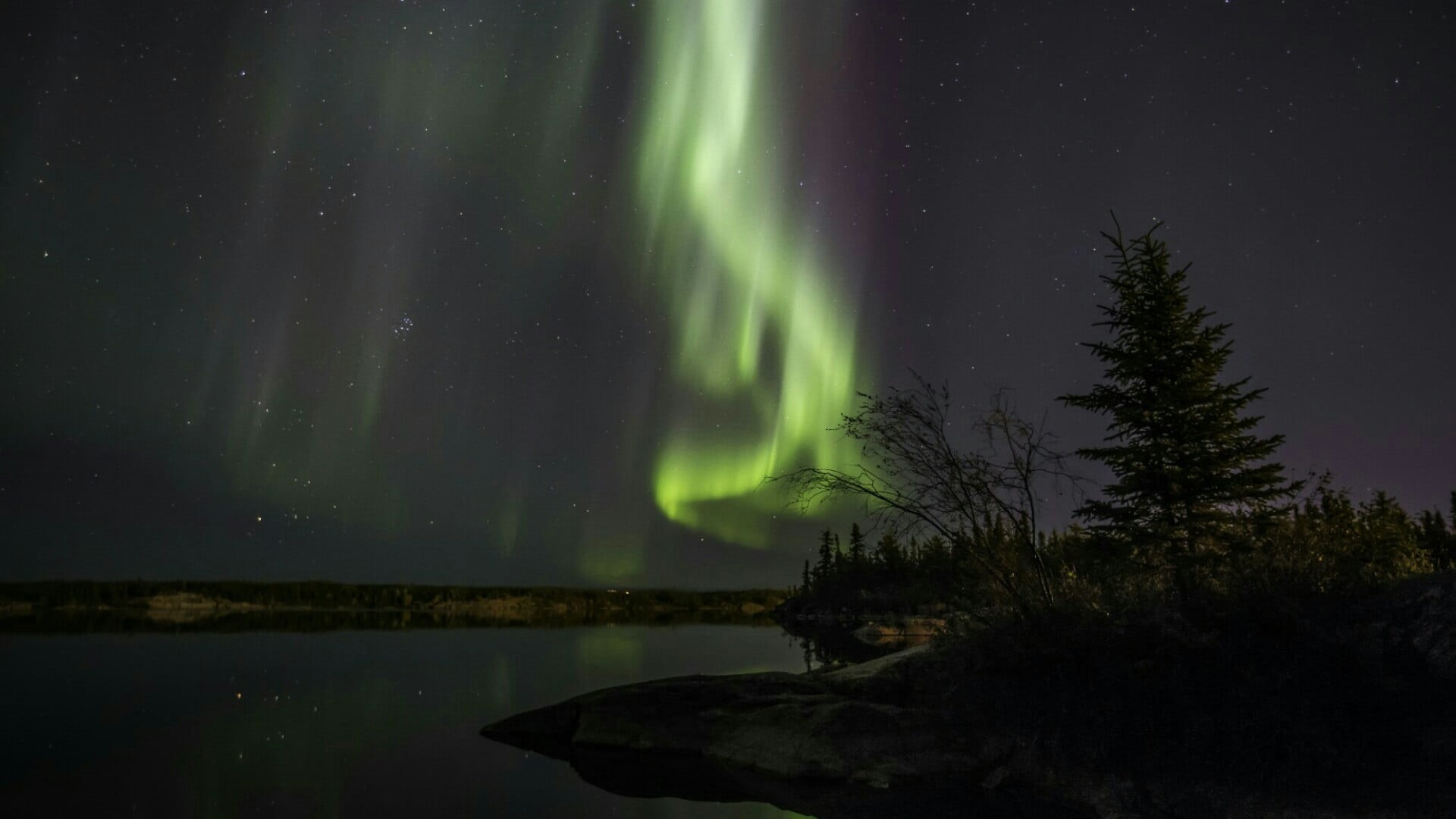 star - space, scenics - nature, atmosphere, astrology, space, sky, tranquil scene, night, aurora borealis, non-urban scene, tree, united states, lake, polar lights, HD Wallpaper