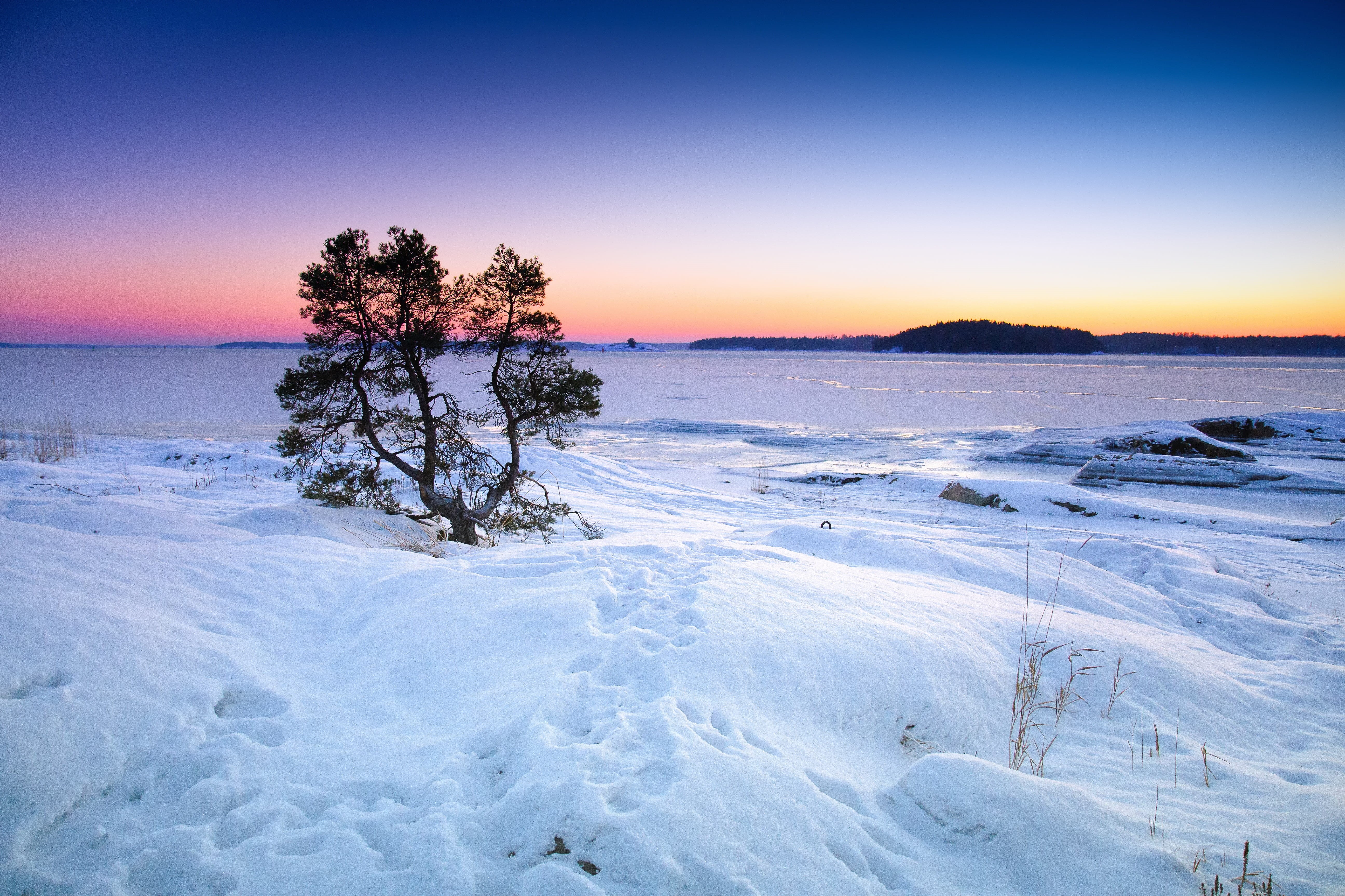 coast, field, climate, scenics - nature, Frozen, outdoor, cold, plant, beauty in nature, Snow, no people, covered, tranquil, Winter, coastline, sunset, HD Wallpaper